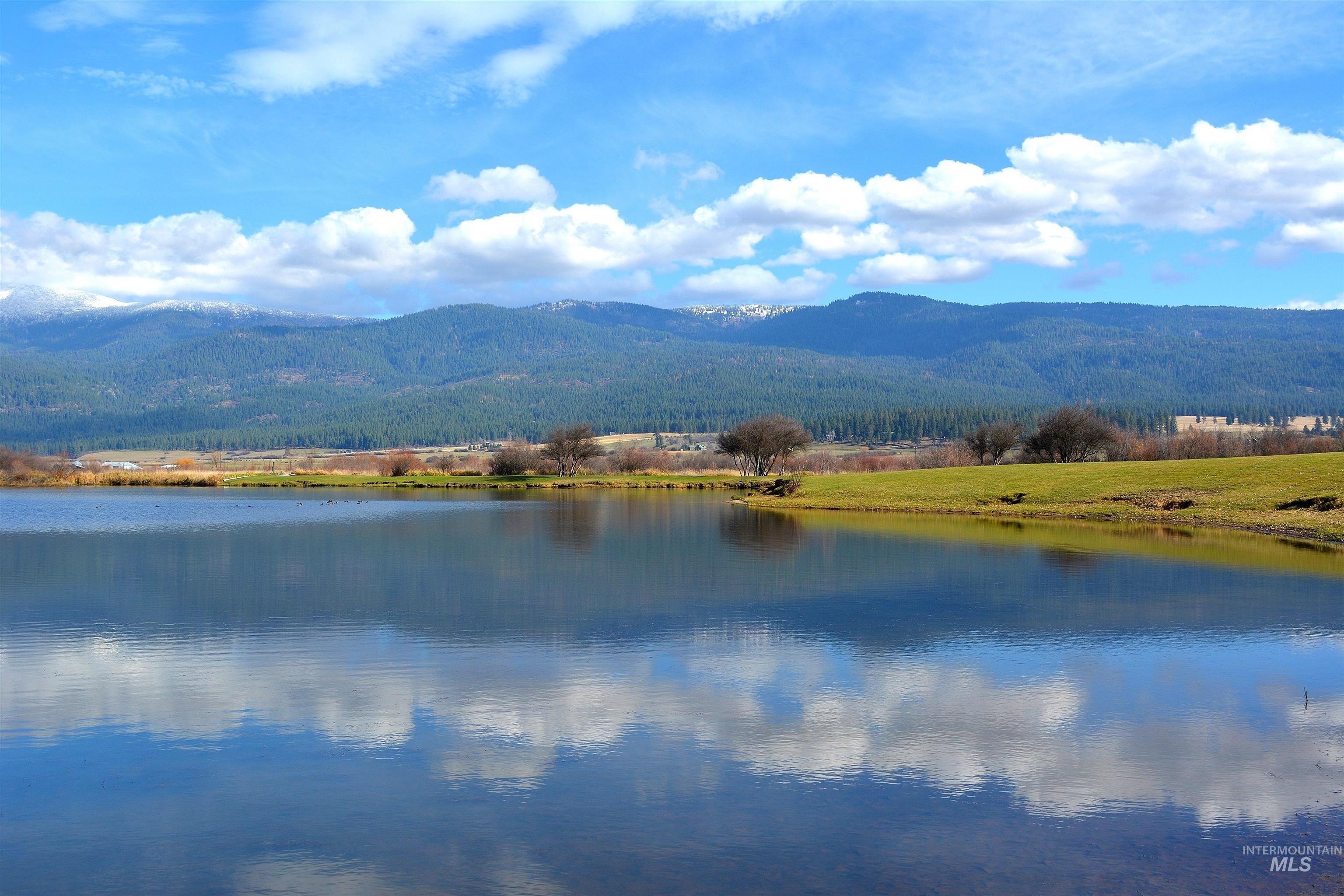 Community Fishing Pond