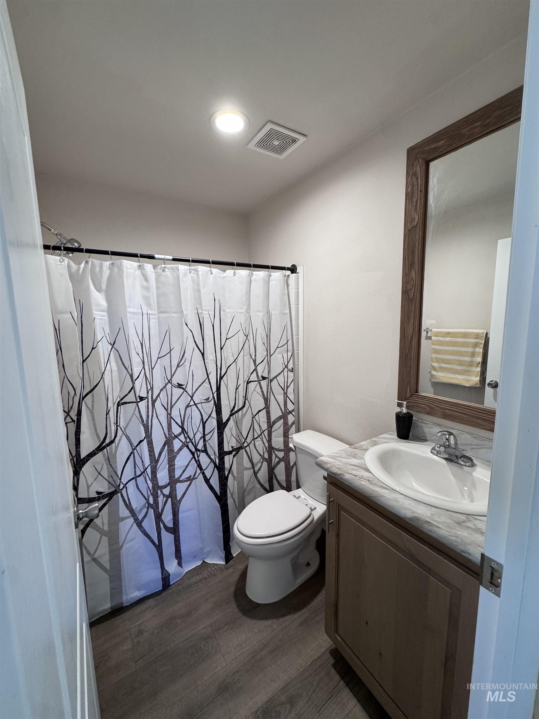 Bathroom with dark wood-type flooring, vanity, and curtained shower