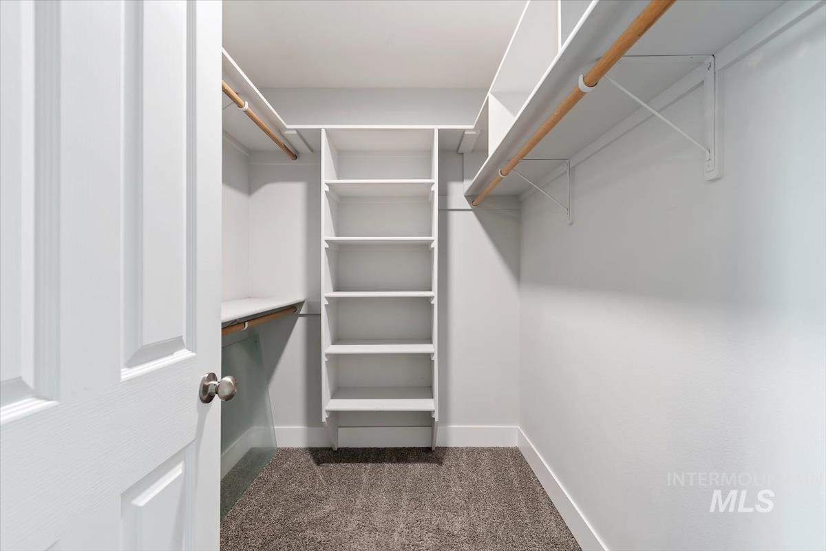 Spacious walk-in closet featuring white built-in shelving, hanging rods, and dark gray carpet flooring