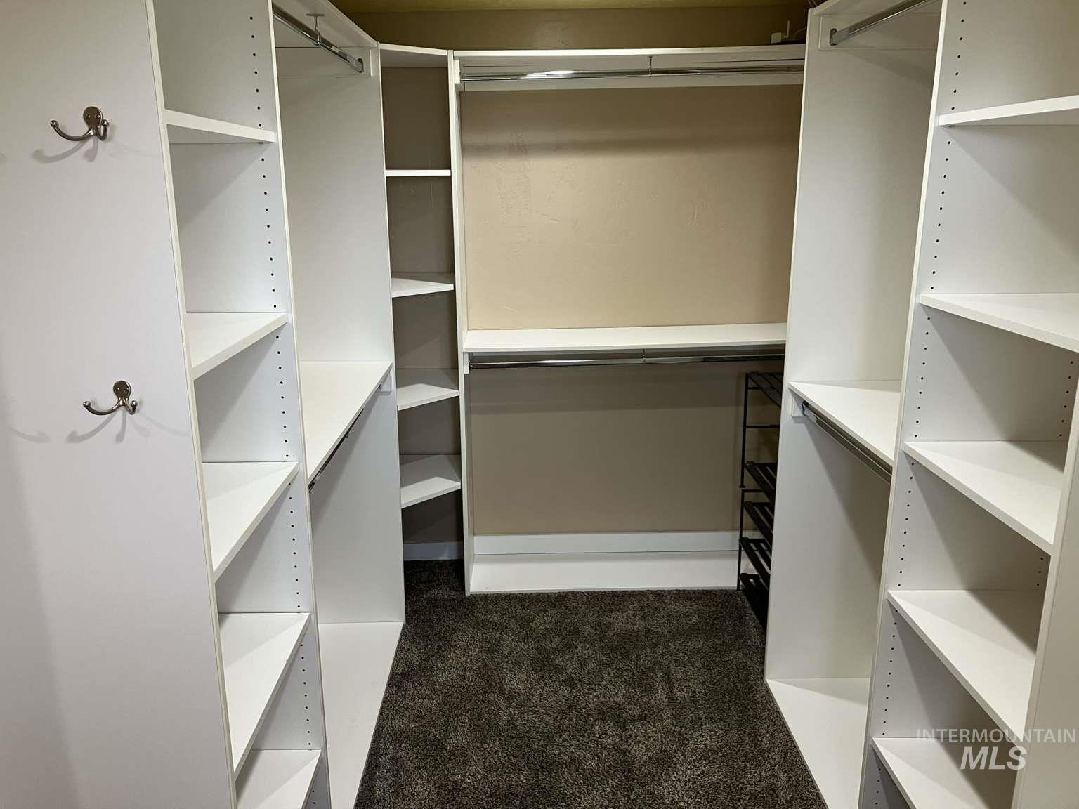 Spacious closet with carpet