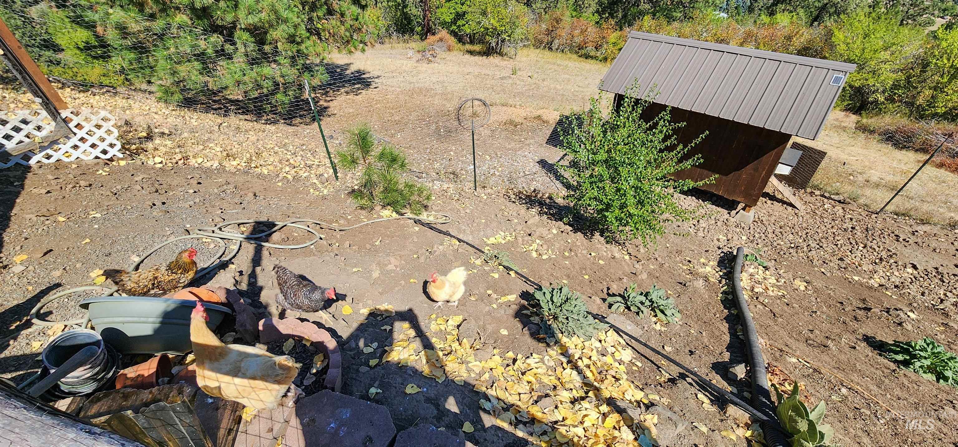 Aerial view of property's location