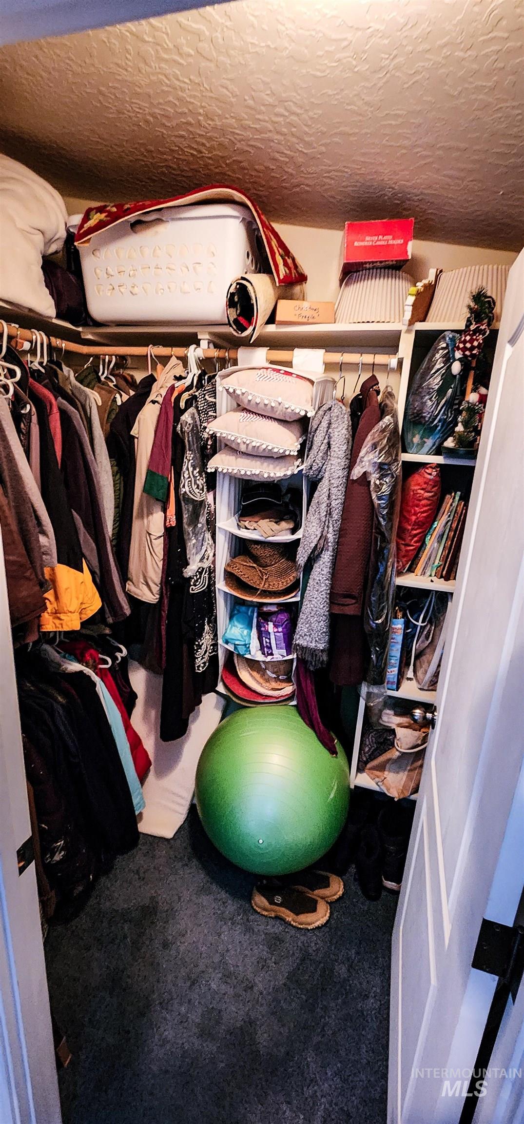 Walk in closet with carpet