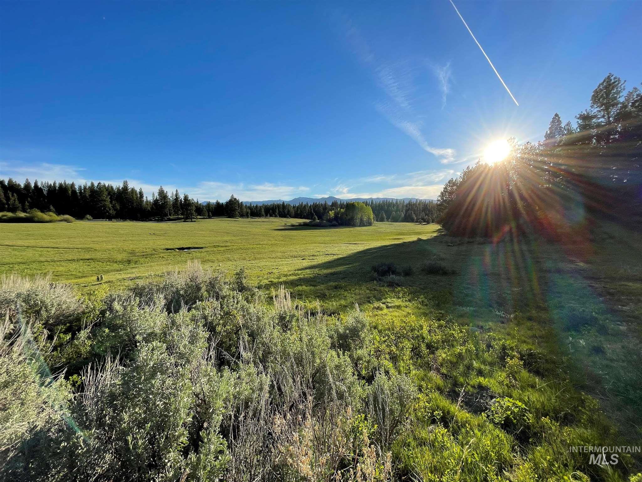 ±320 acres - Big Creek Meadows Ranch