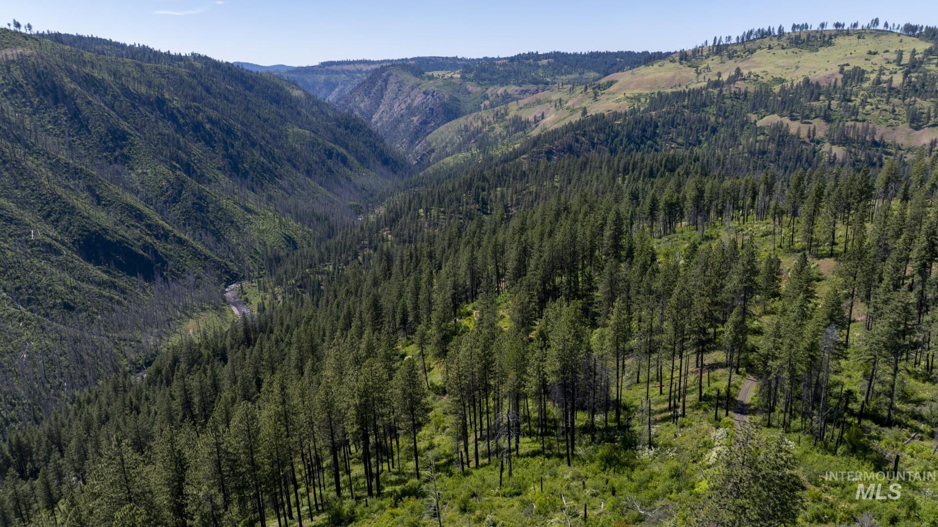 0 Forest Garden Ln, Parcel 7