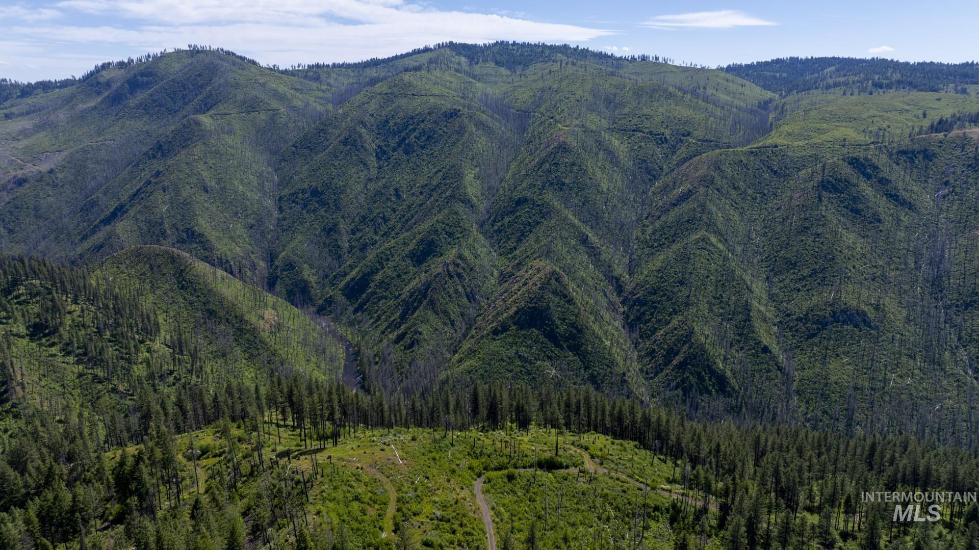 0 Forest Garden Ln, Parcel 7