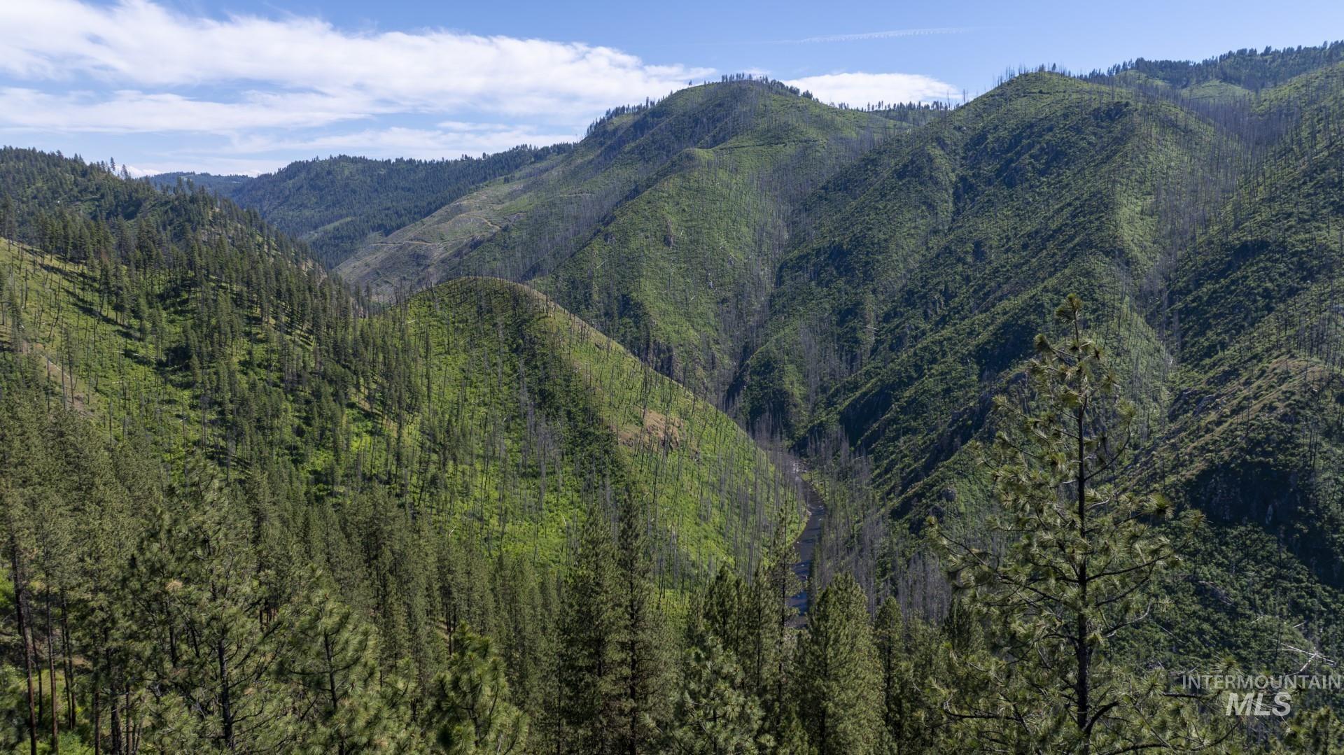 0 Forest Garden Ln, Parcel 7