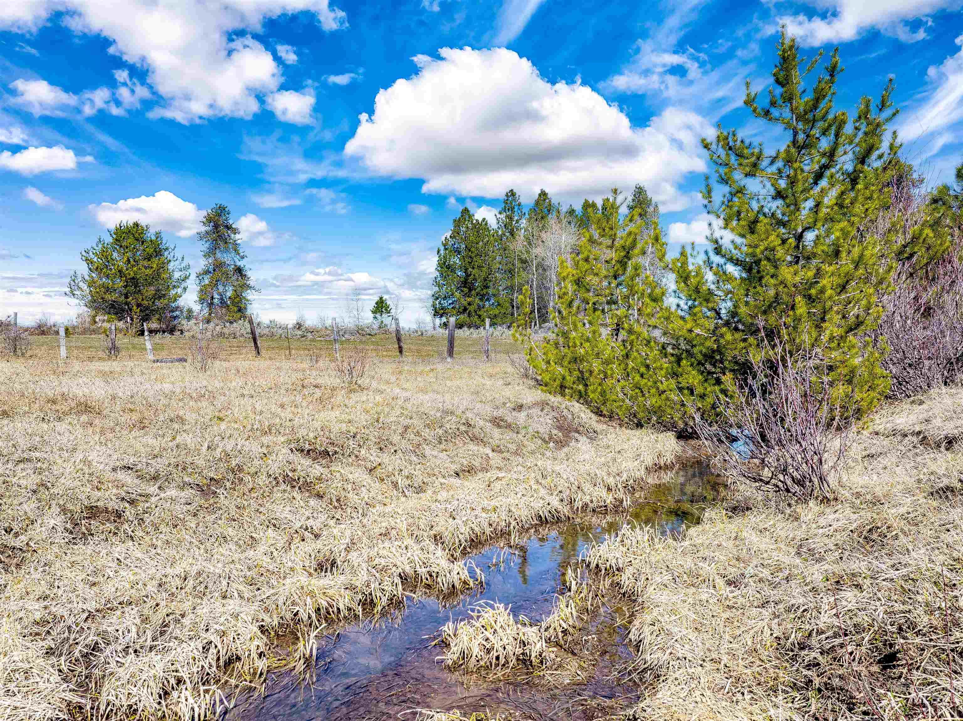 View of nature