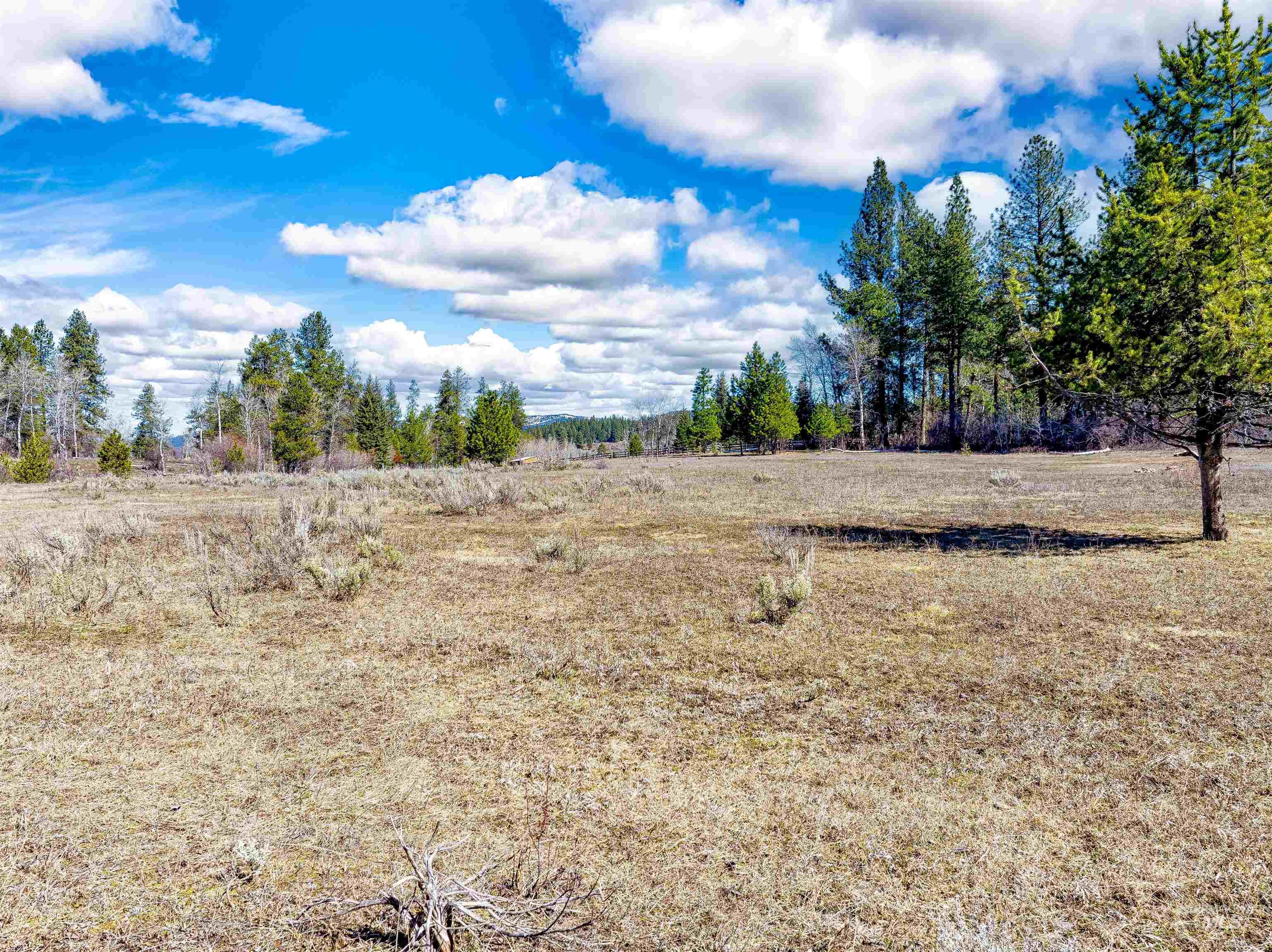 View of local wilderness with rural landscape