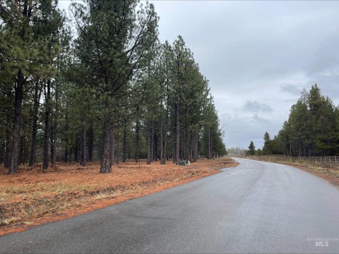 Photo of 13057 Dawn Drive, Donnelly, ID 83615 (MLS # 98981687)