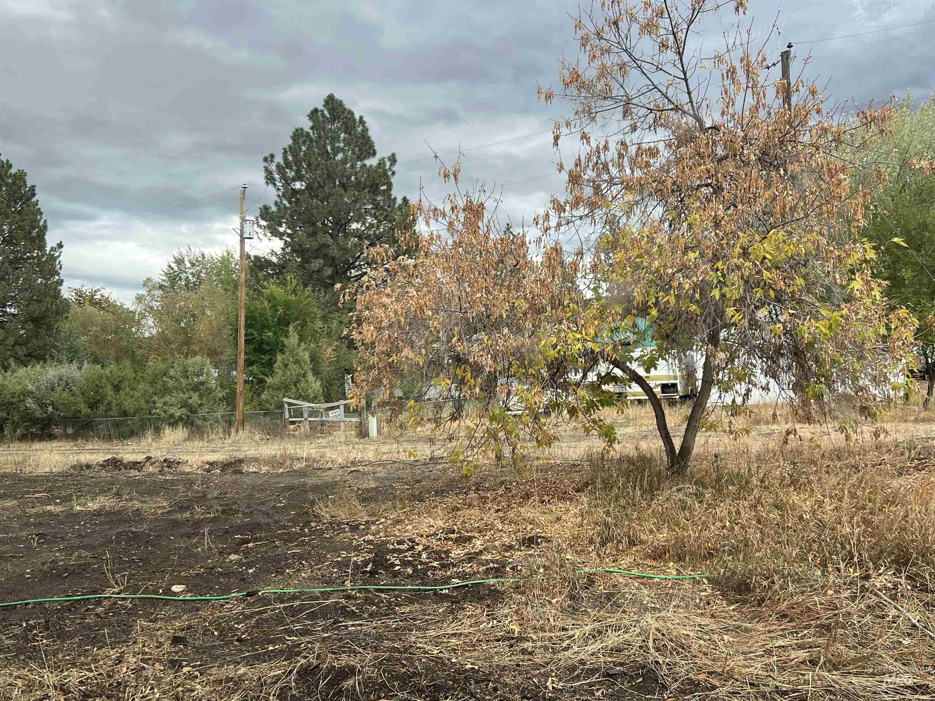 View of local wilderness