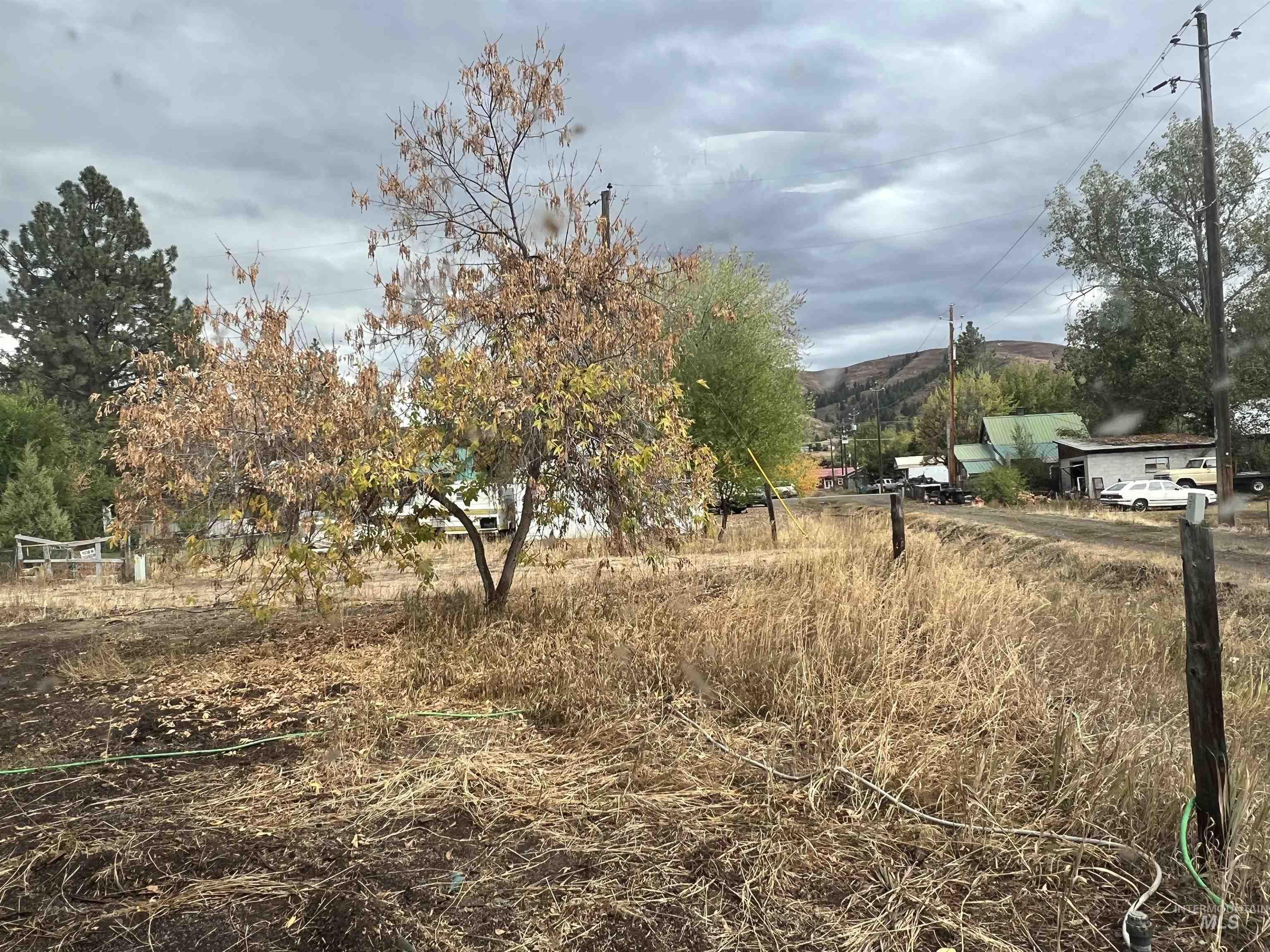 View of yard with a mountain view