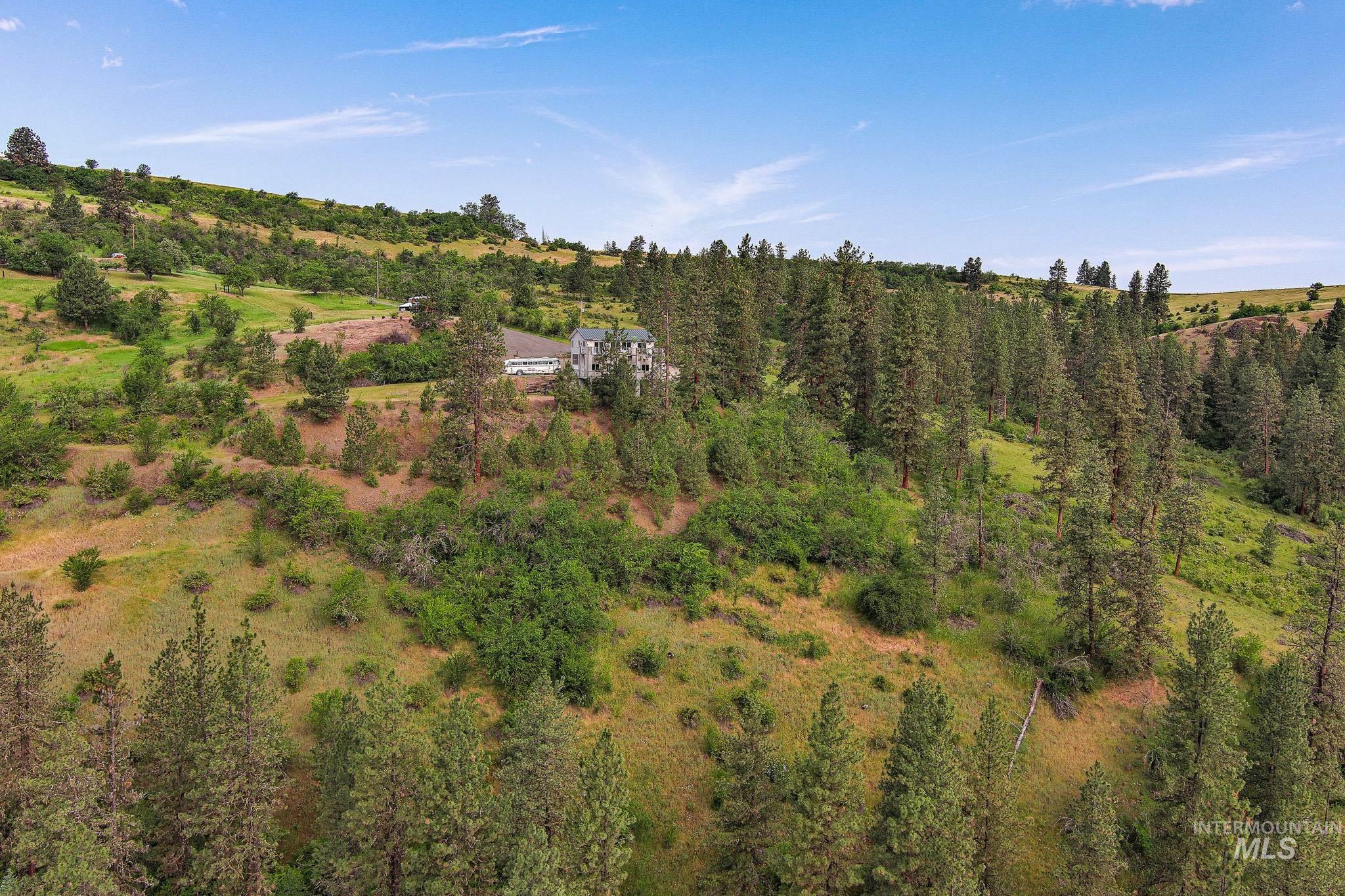 156 Butcher Creek Lane