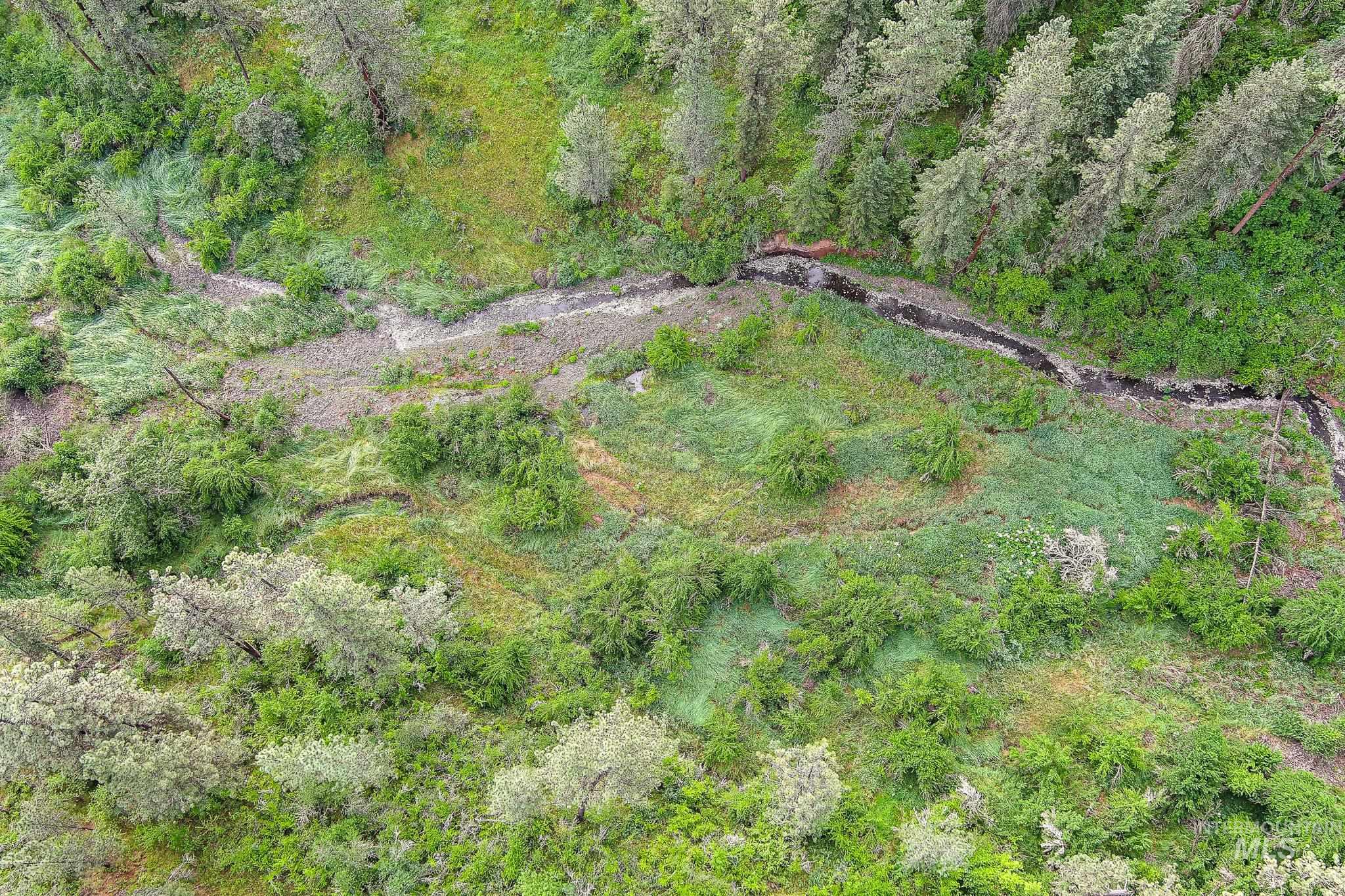 156 Butcher Creek Lane