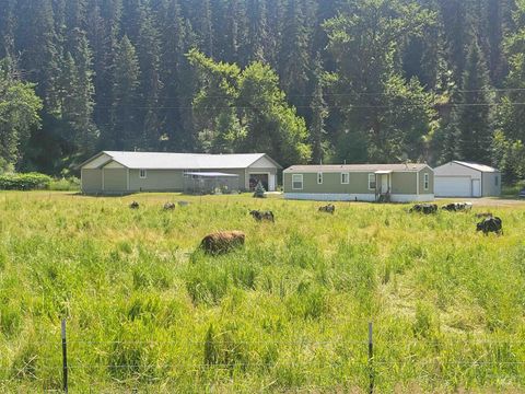 Photo of 437 Clear Creek Rd, Kooskia, ID 83539 (MLS # 98975299)