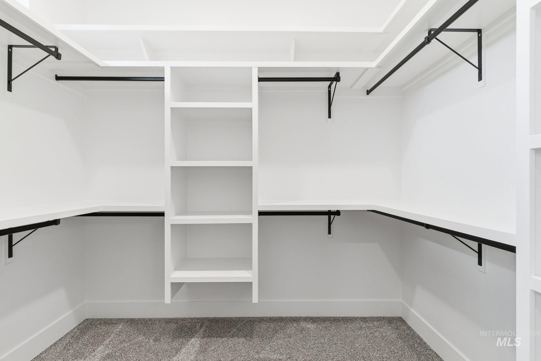 Walk in closet featuring light colored carpet