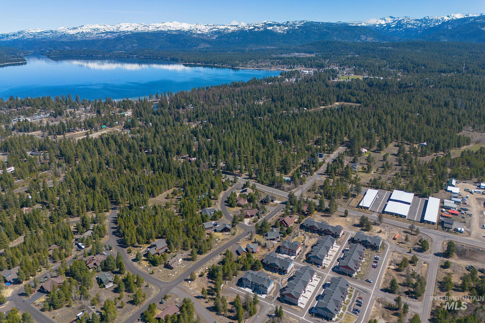 Expansive aerial showcasing a large body of water, dense evergreen forests, and snow-capped mountains in the distance