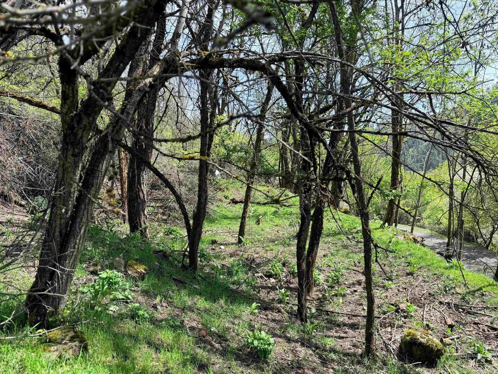 Photo of 0 Forsman Ave, Orofino, ID 83544 (MLS # 98982882)