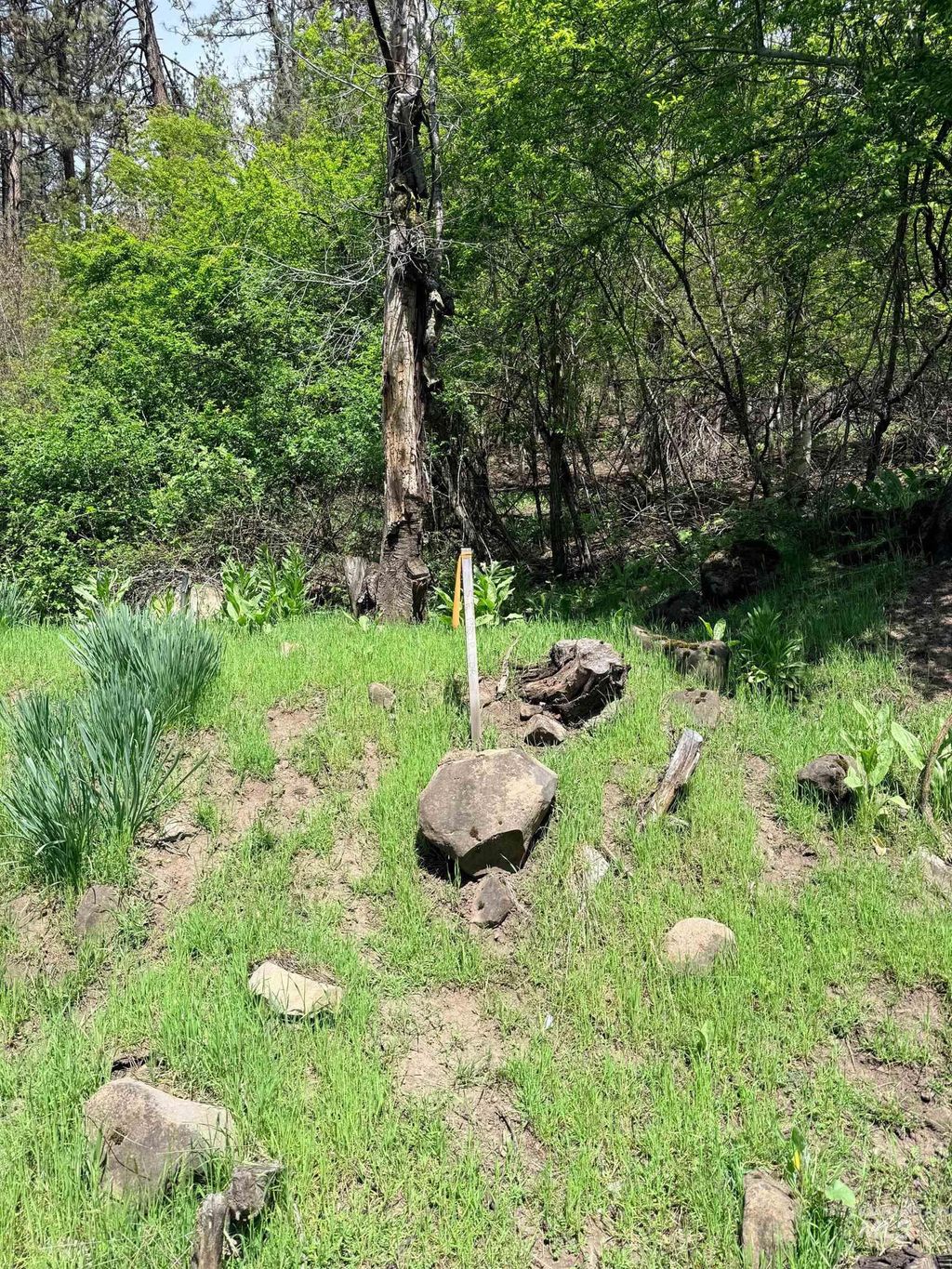 Photo of 0 Forsman Ave, Orofino, ID 83544 (MLS # 98982882)