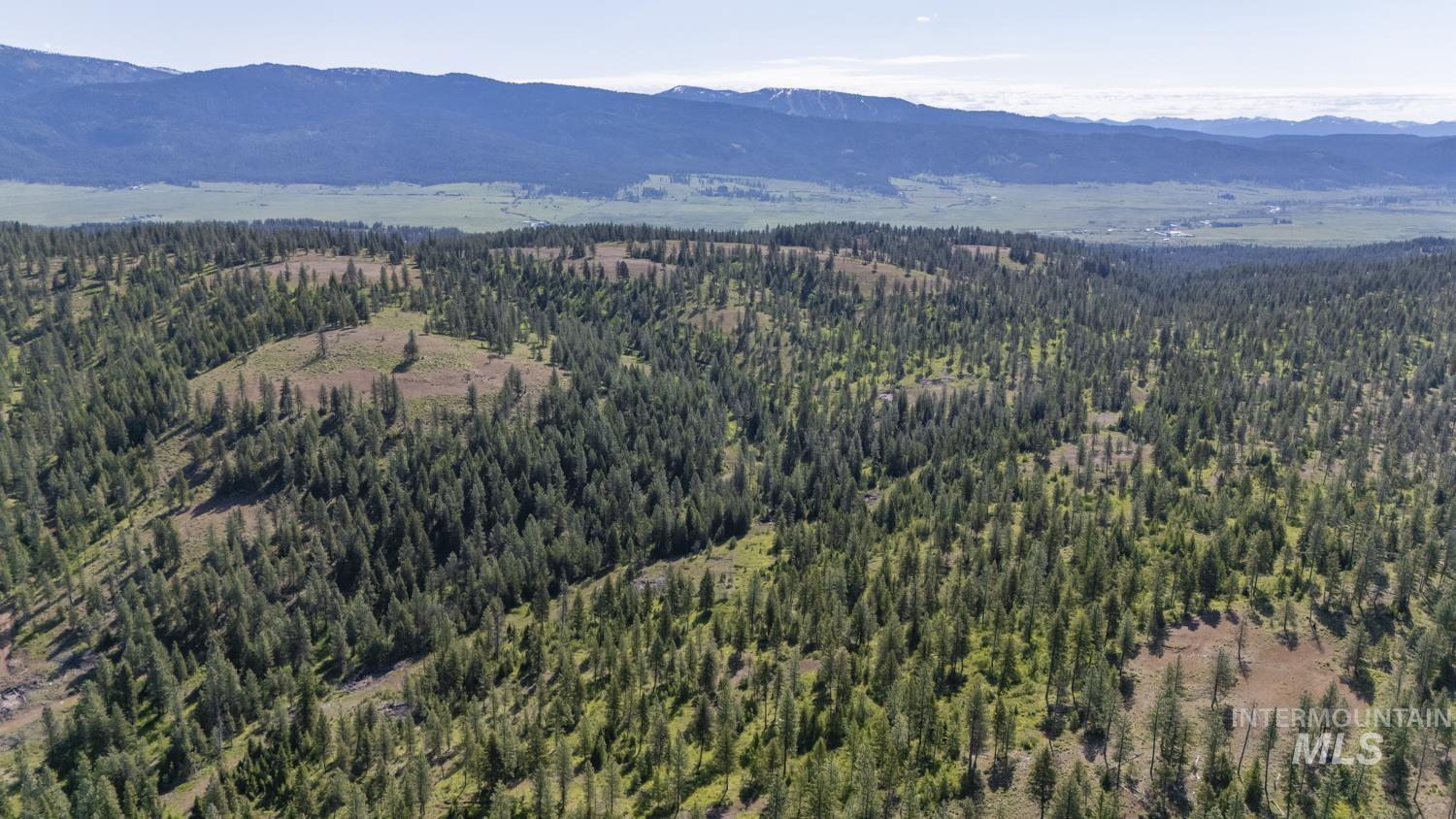 View of mountain background featuring a heavily wooded area