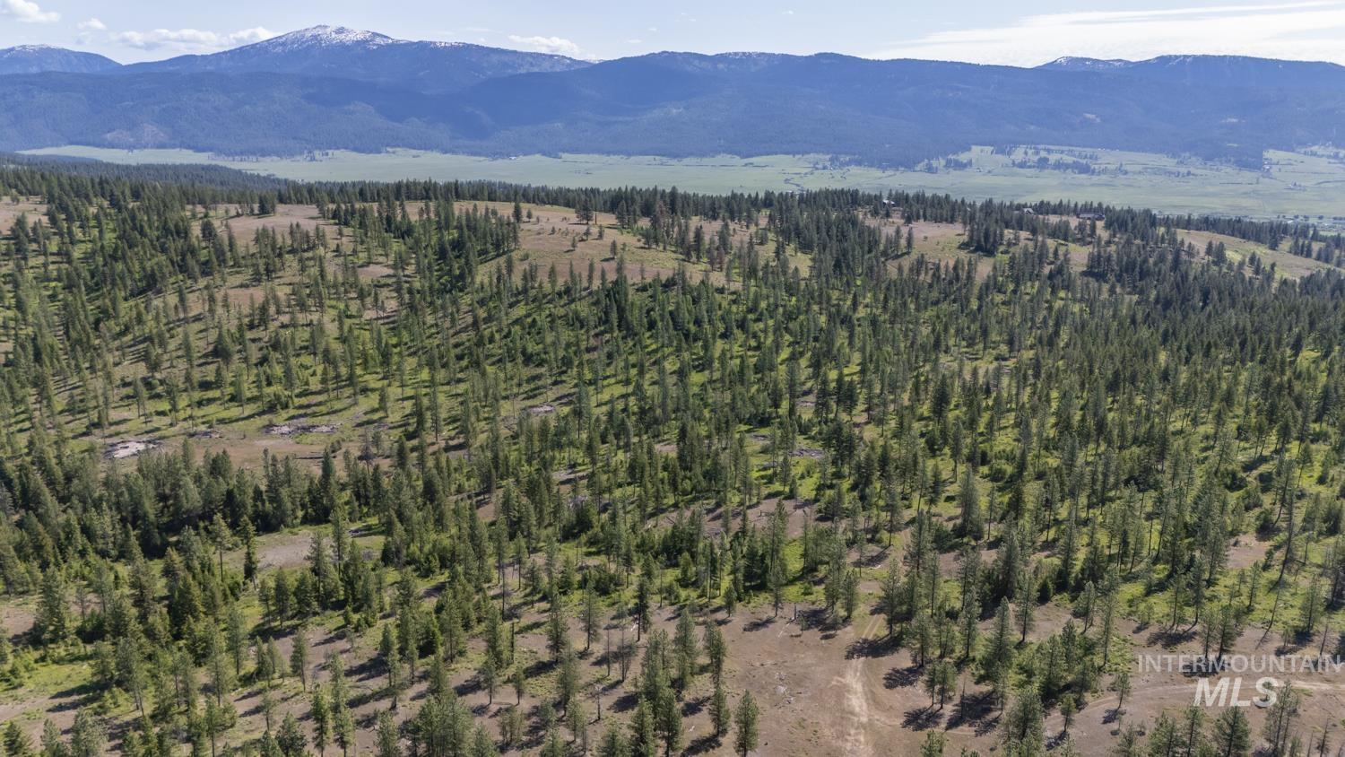 Aerial view of mountains