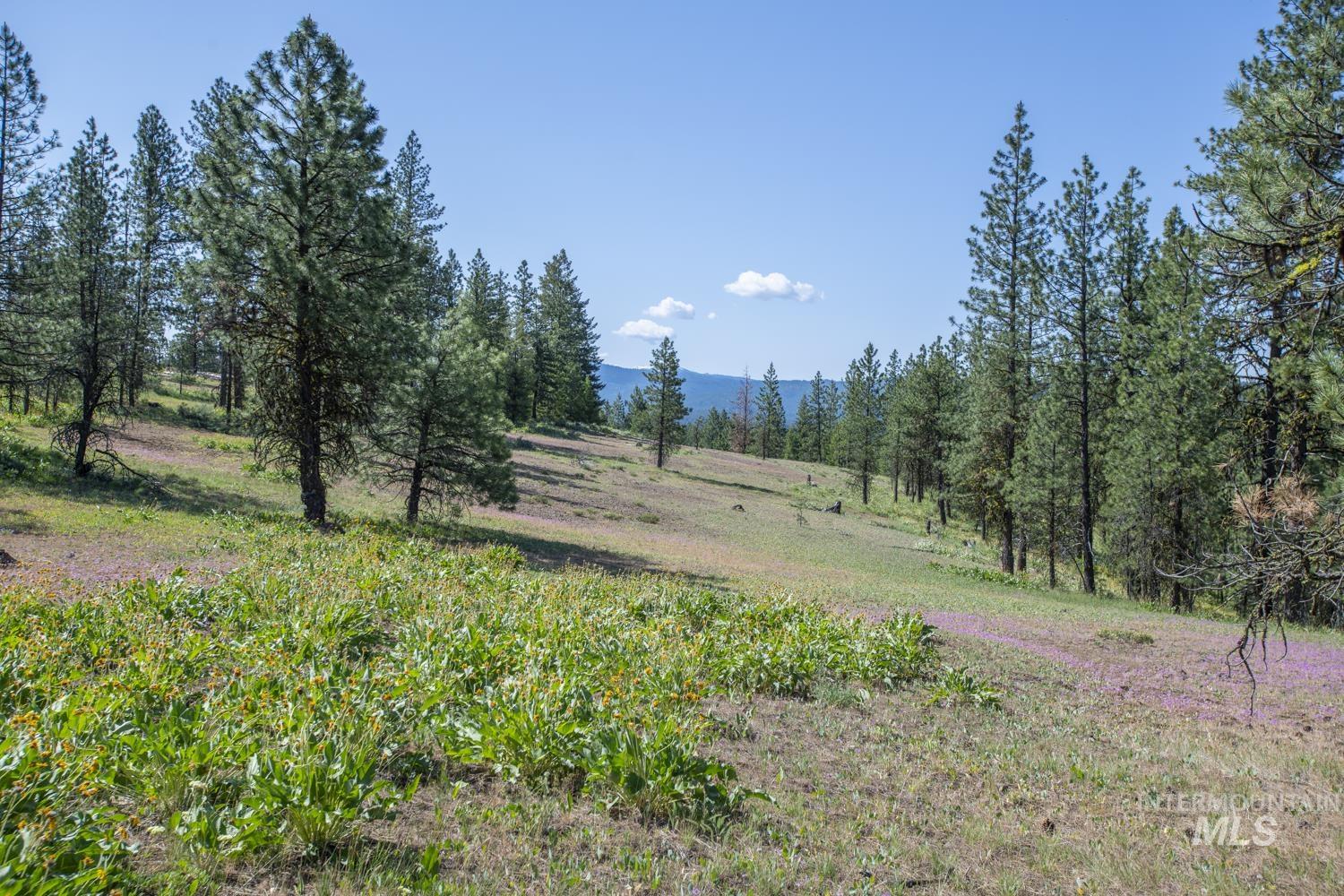View of undeveloped land with rural landscape
