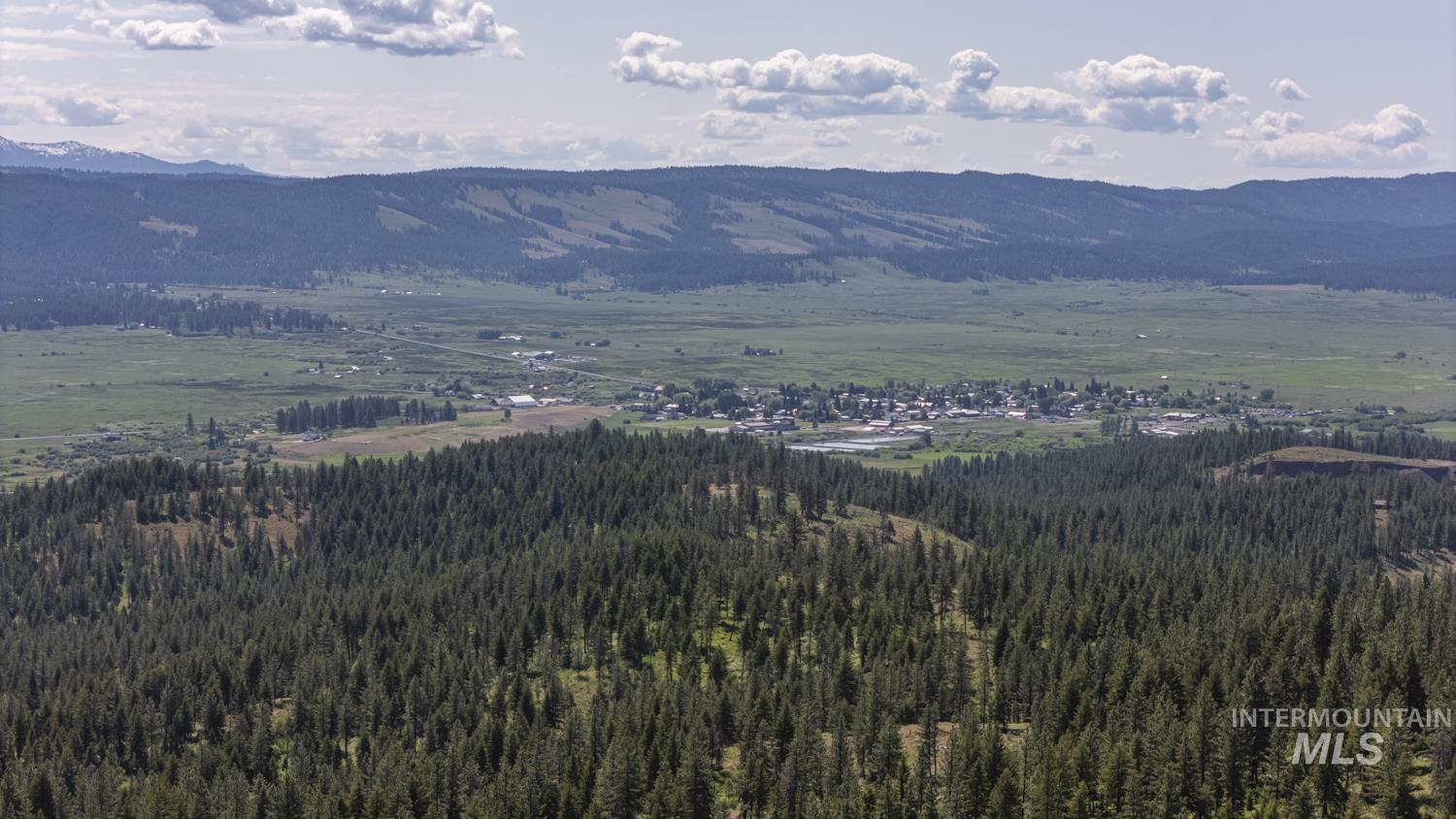 View of mountain background featuring a forest