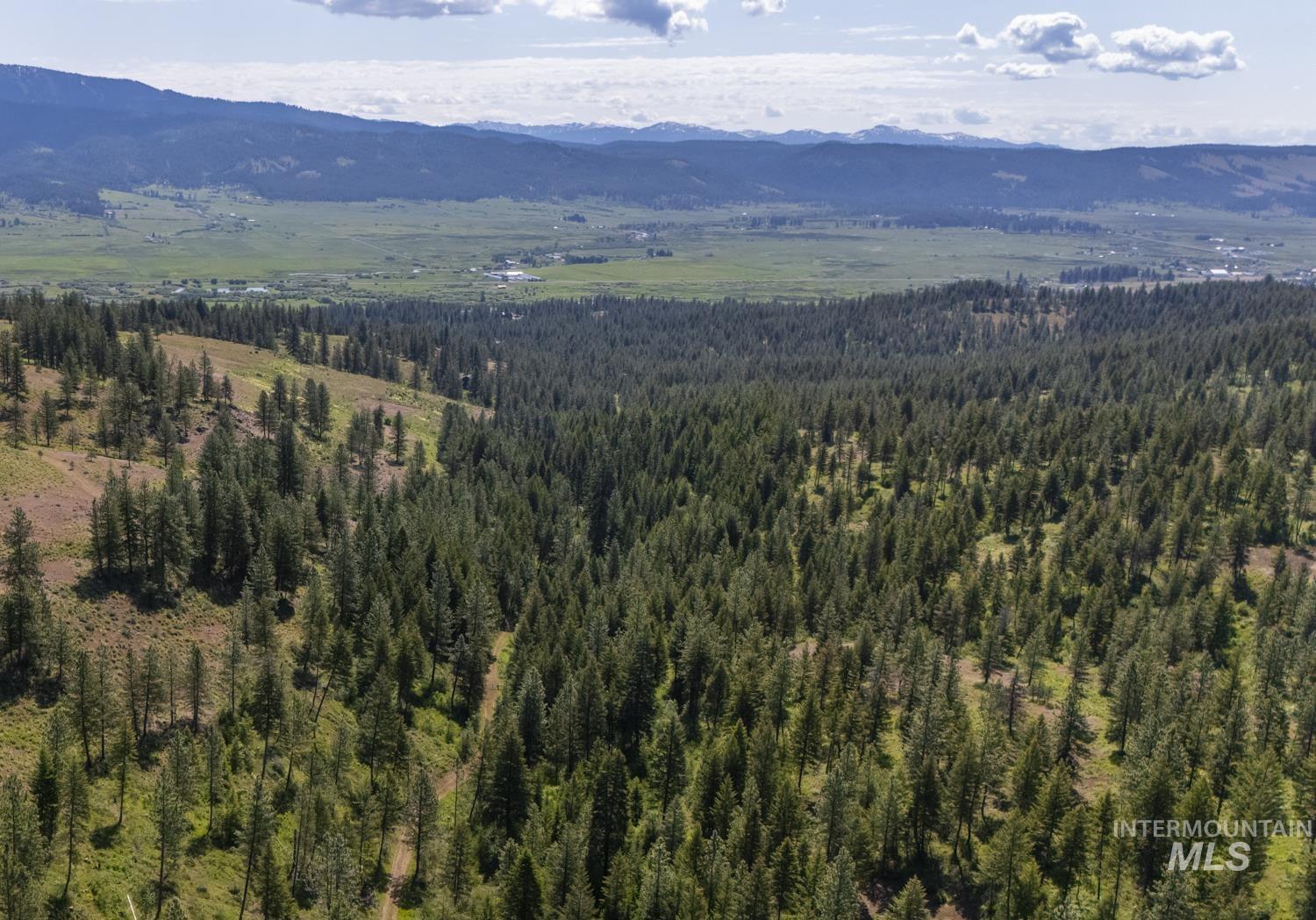 View of mountain backdrop with a forest
