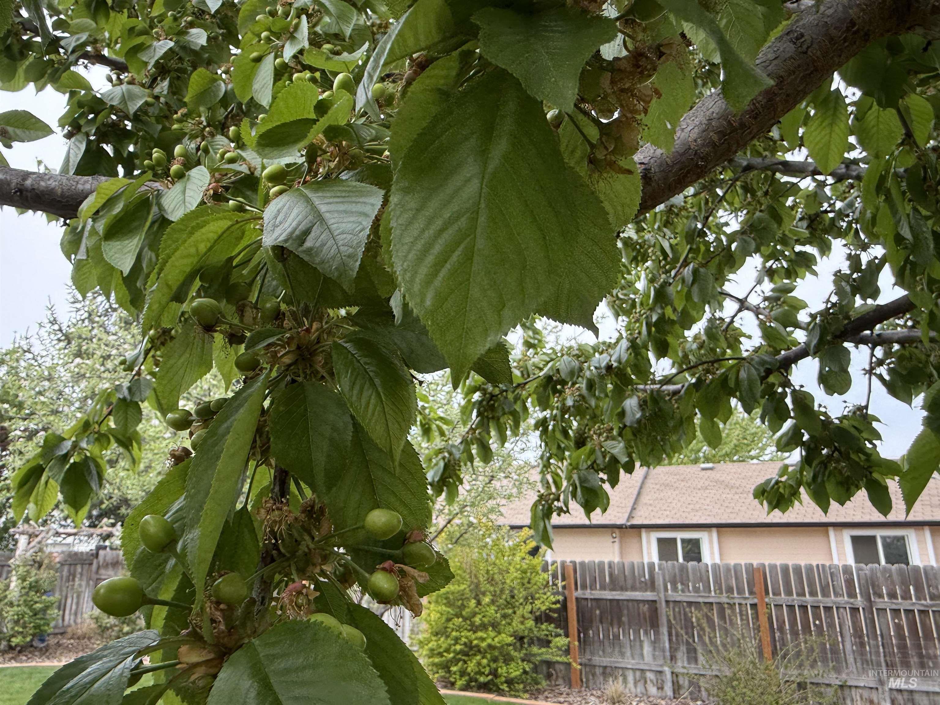 Meridian, Idaho 83646, United States, 3 Bedrooms Bedrooms, ,2 BathroomsBathrooms,Residential,Pending,118798