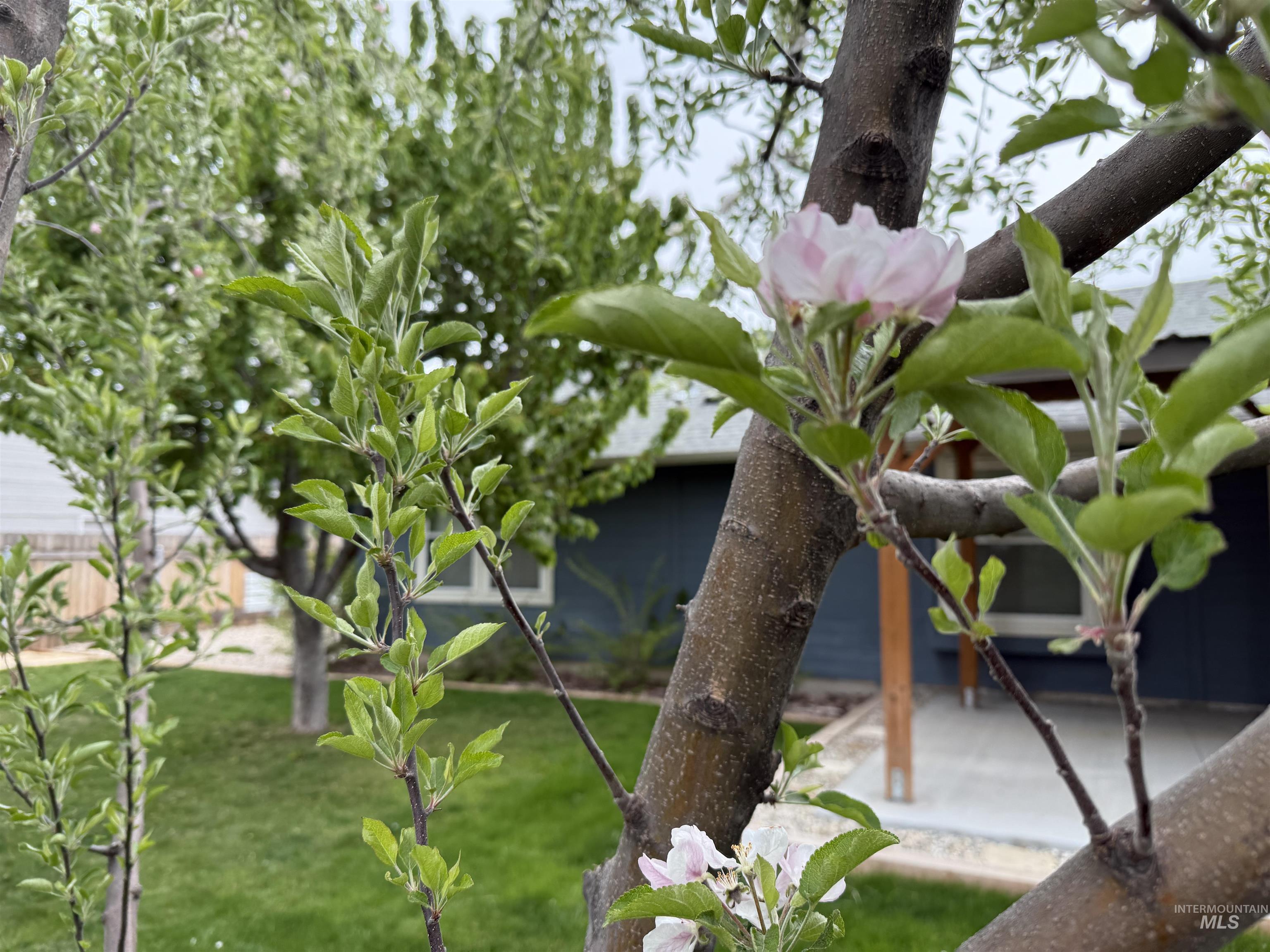 Meridian, Idaho 83646, United States, 3 Bedrooms Bedrooms, ,2 BathroomsBathrooms,Residential,Pending,118798