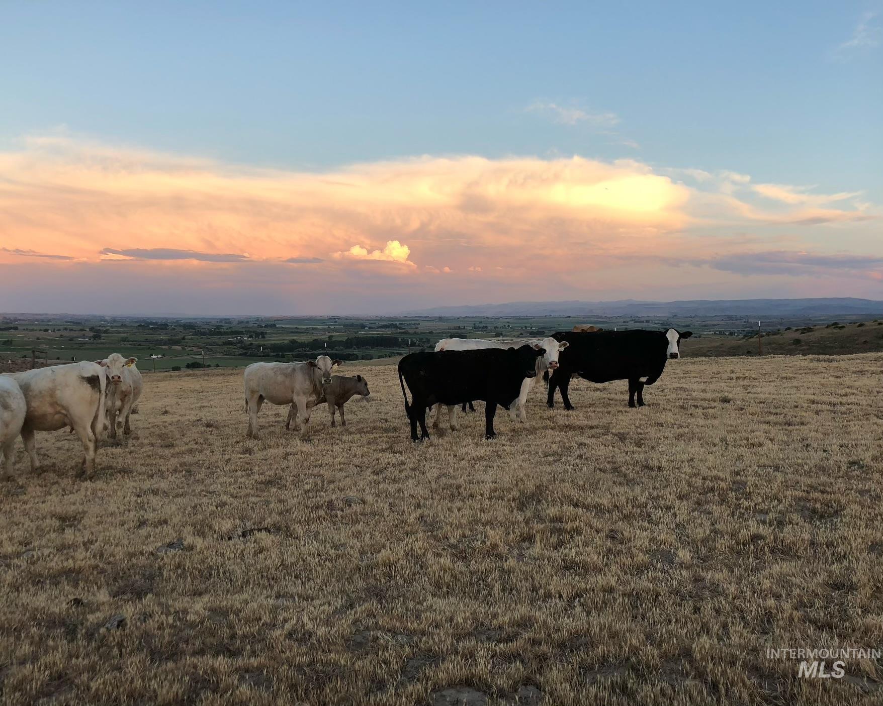 Adrian, Oregon 97901, United States, ,Land,Active,6750