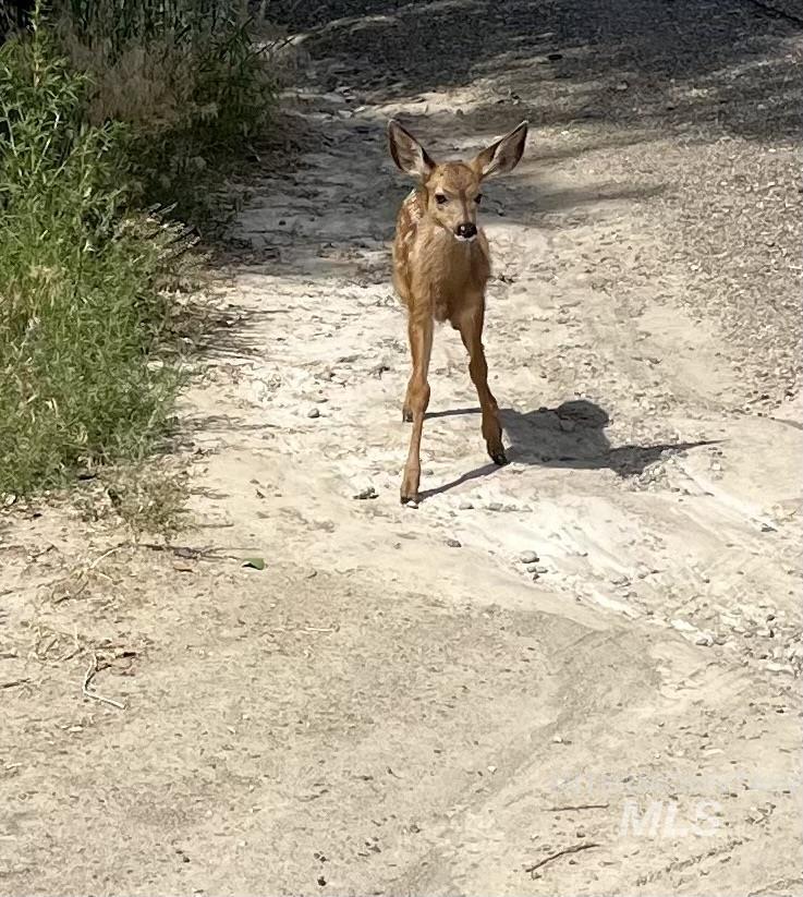 Adrian, Oregon 97901, United States, ,Land,Active,6750