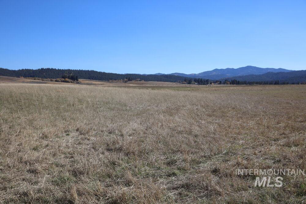 408 Gold Fork Rd (250 Acres)