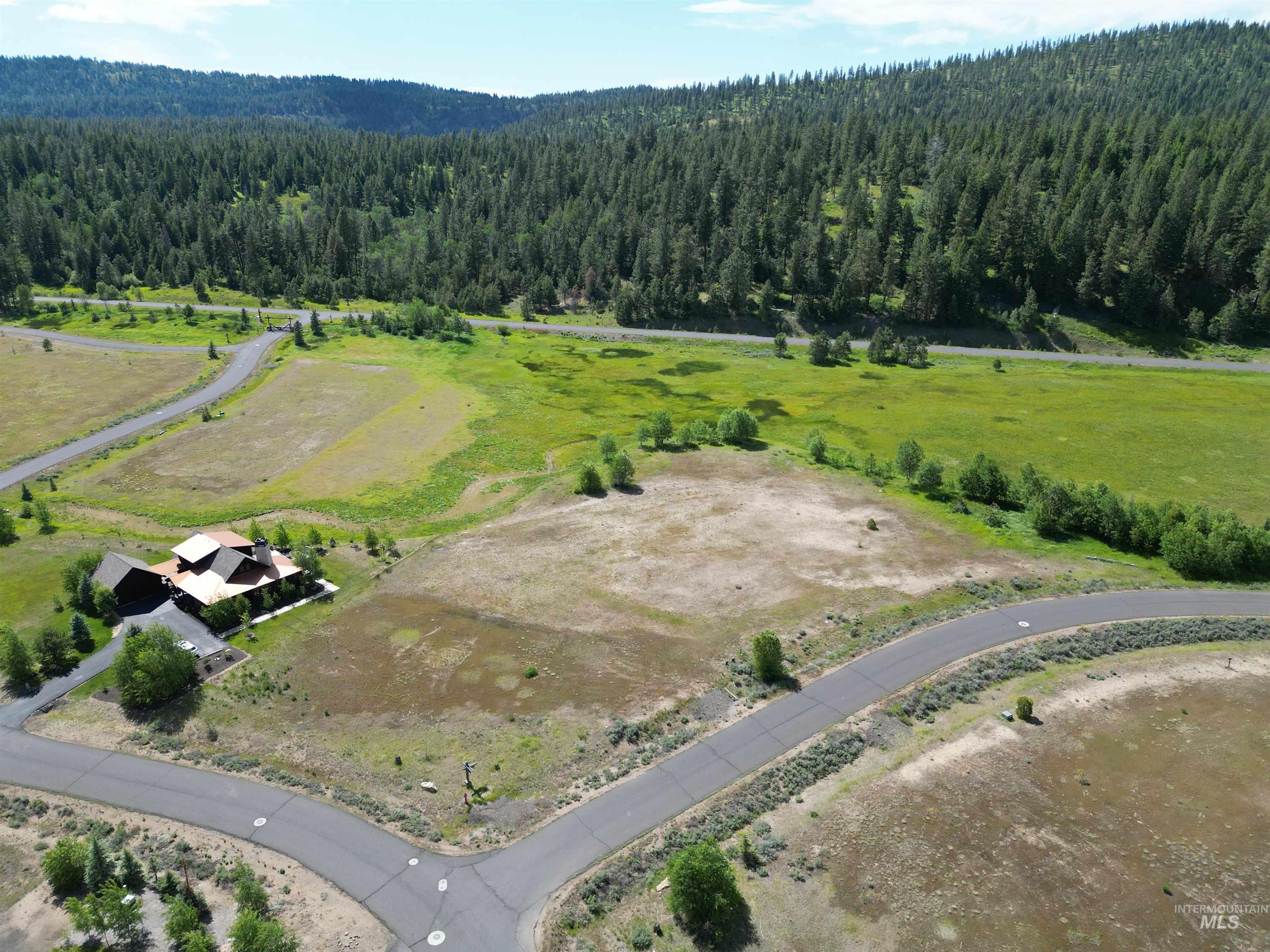 Aerial view of sparsely populated area featuring a heavily wooded area
