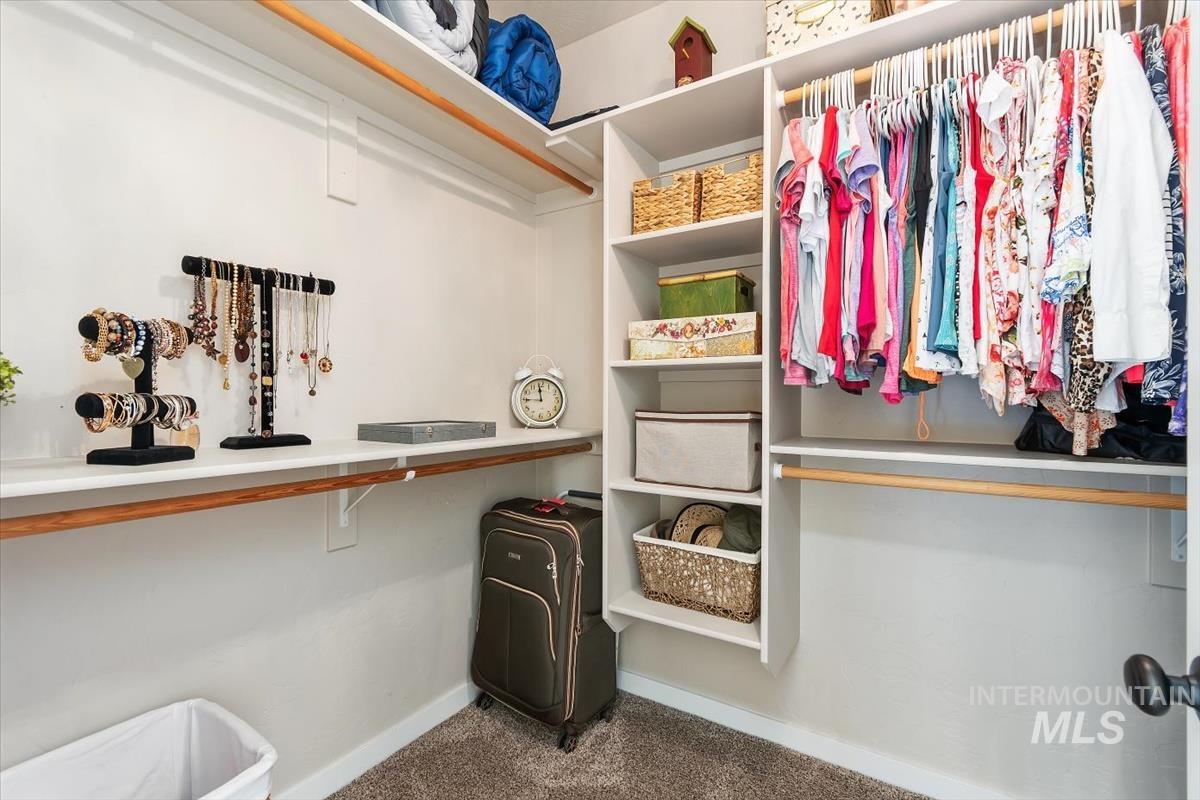 Walk in closet featuring carpet floors