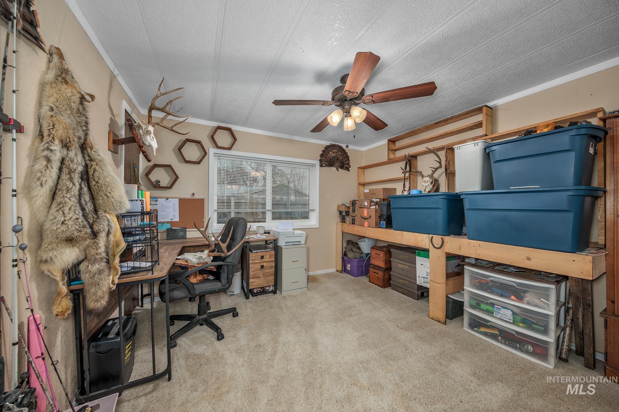 Office area with light colored carpet, a ceiling fan, and crown molding