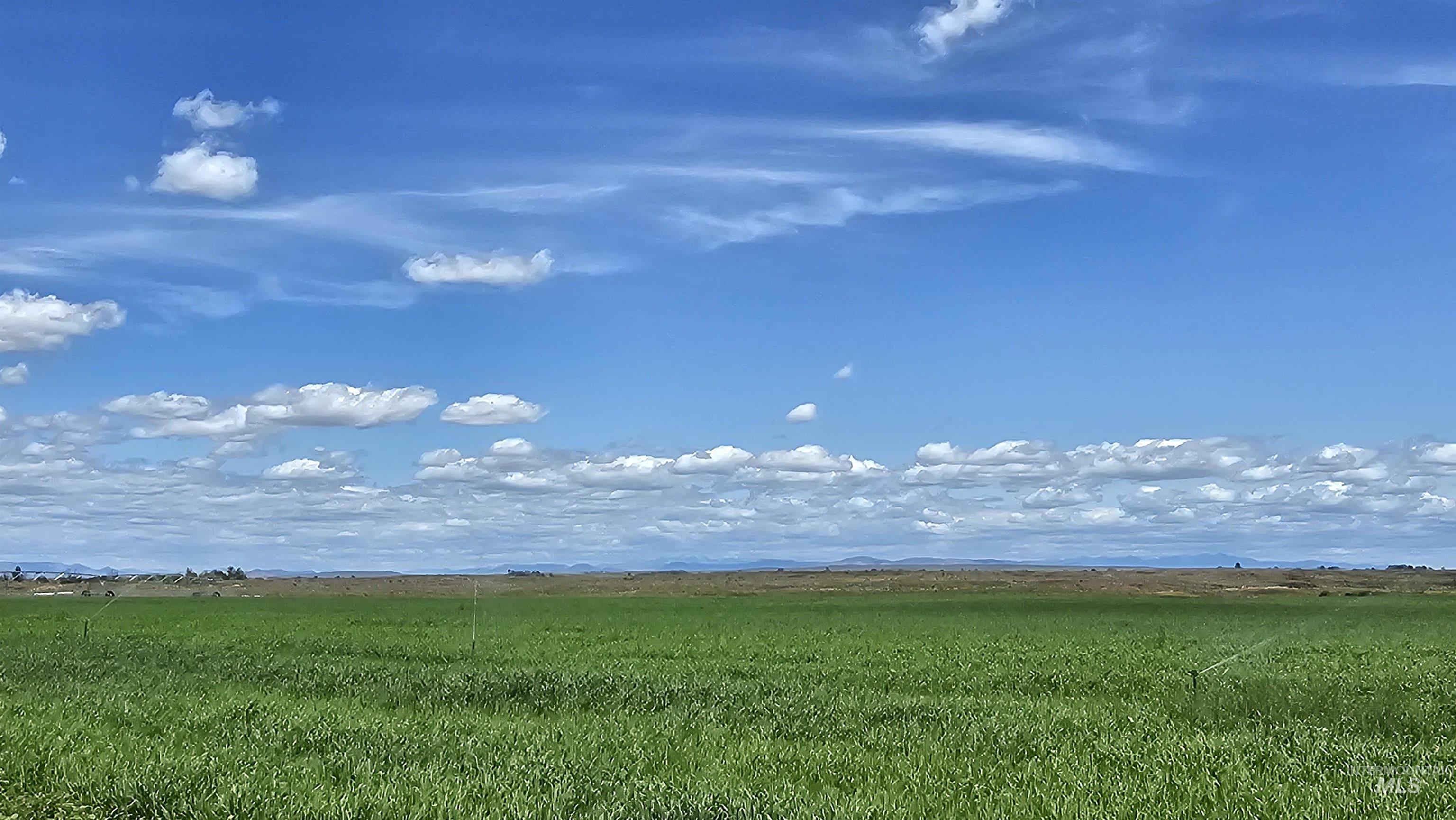 View of local wilderness featuring rural landscape