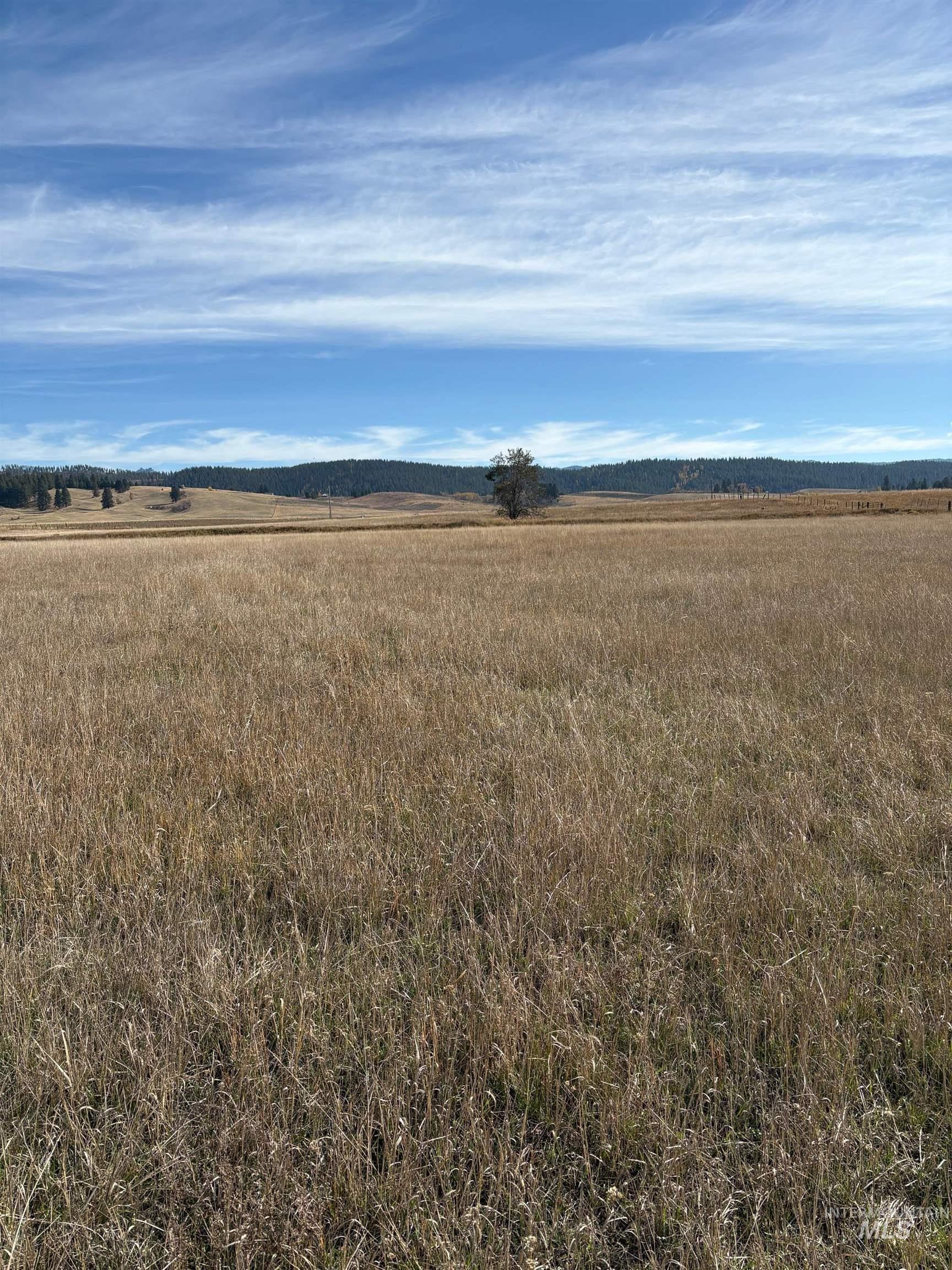View of yard featuring a rural view
