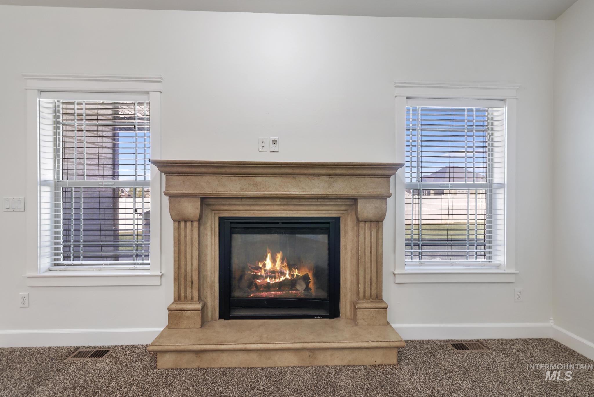 Detailed view of carpet floors and a glass covered fireplace
