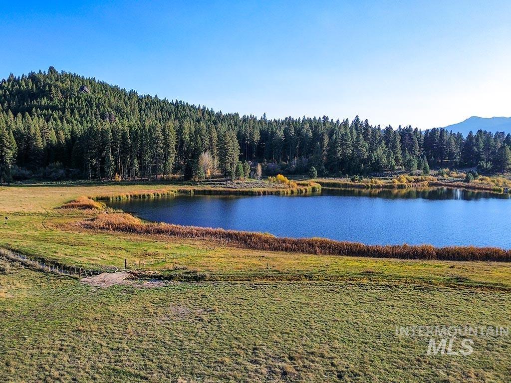 Water view with a heavily wooded area