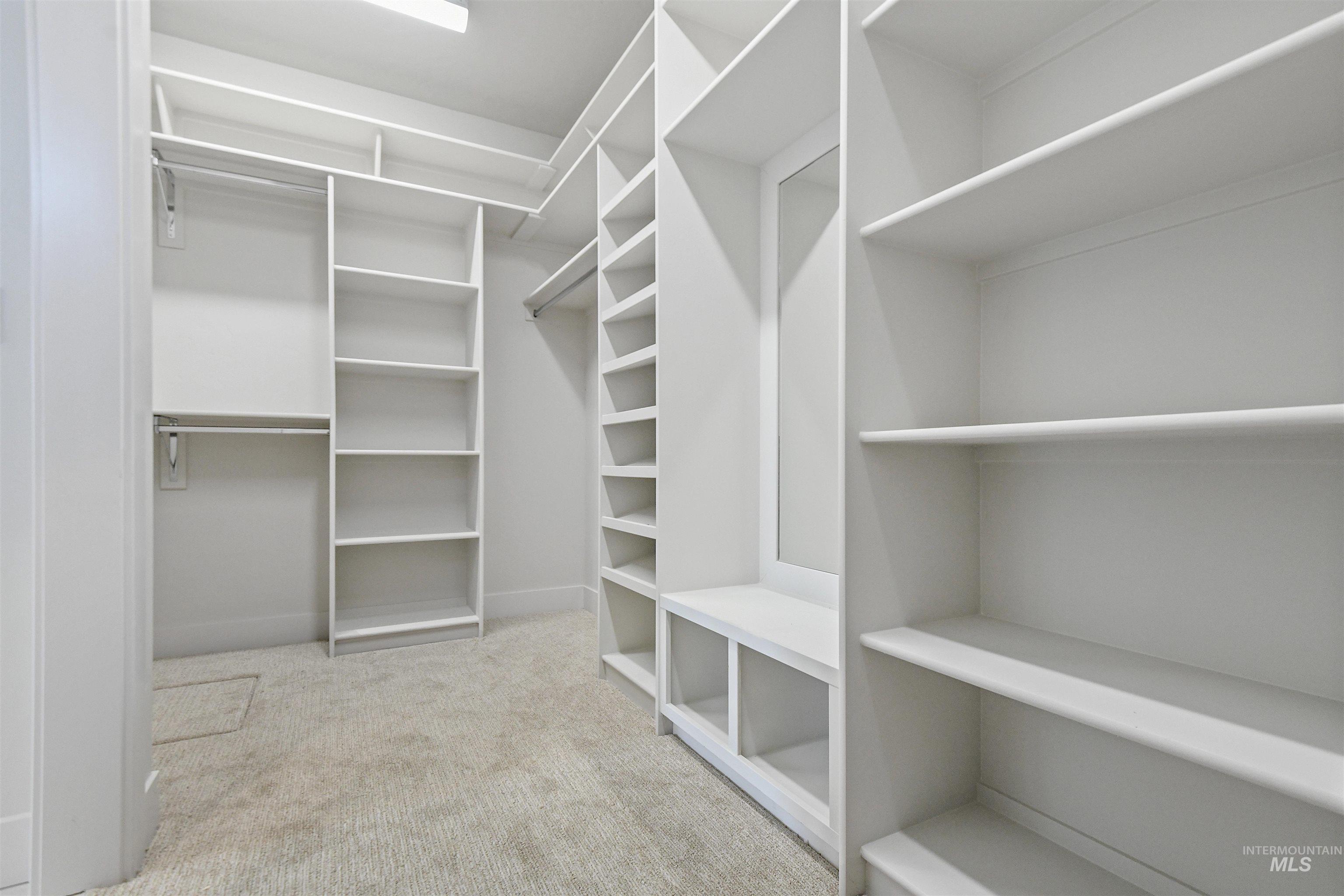 Walk in closet with carpet