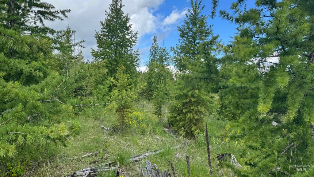 Photo of TBD Upper Fords Creek, Orofino, ID 83544 (MLS # 98934076)
