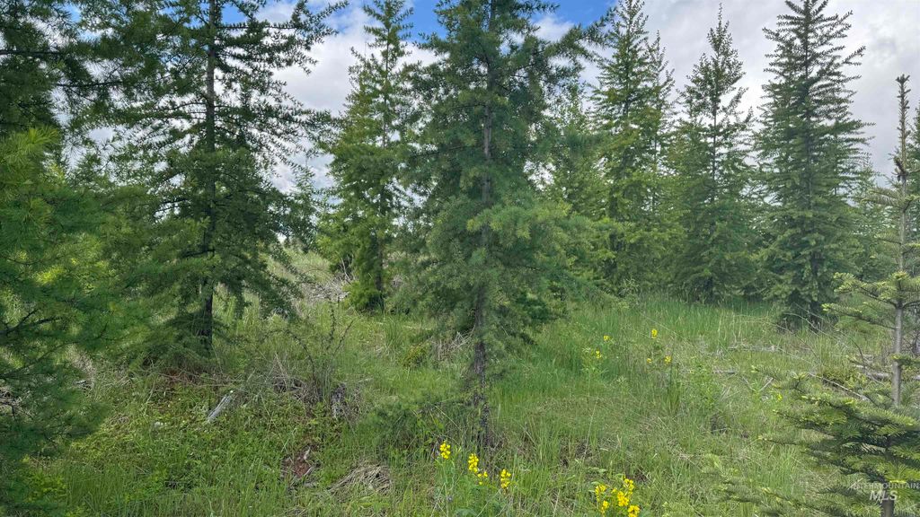 Photo of TBD Upper Fords Creek, Orofino, ID 83544 (MLS # 98934076)