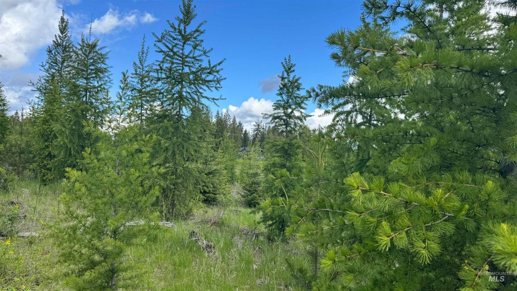 Photo of TBD Upper Fords Creek, Orofino, ID 83544 (MLS # 98934076)