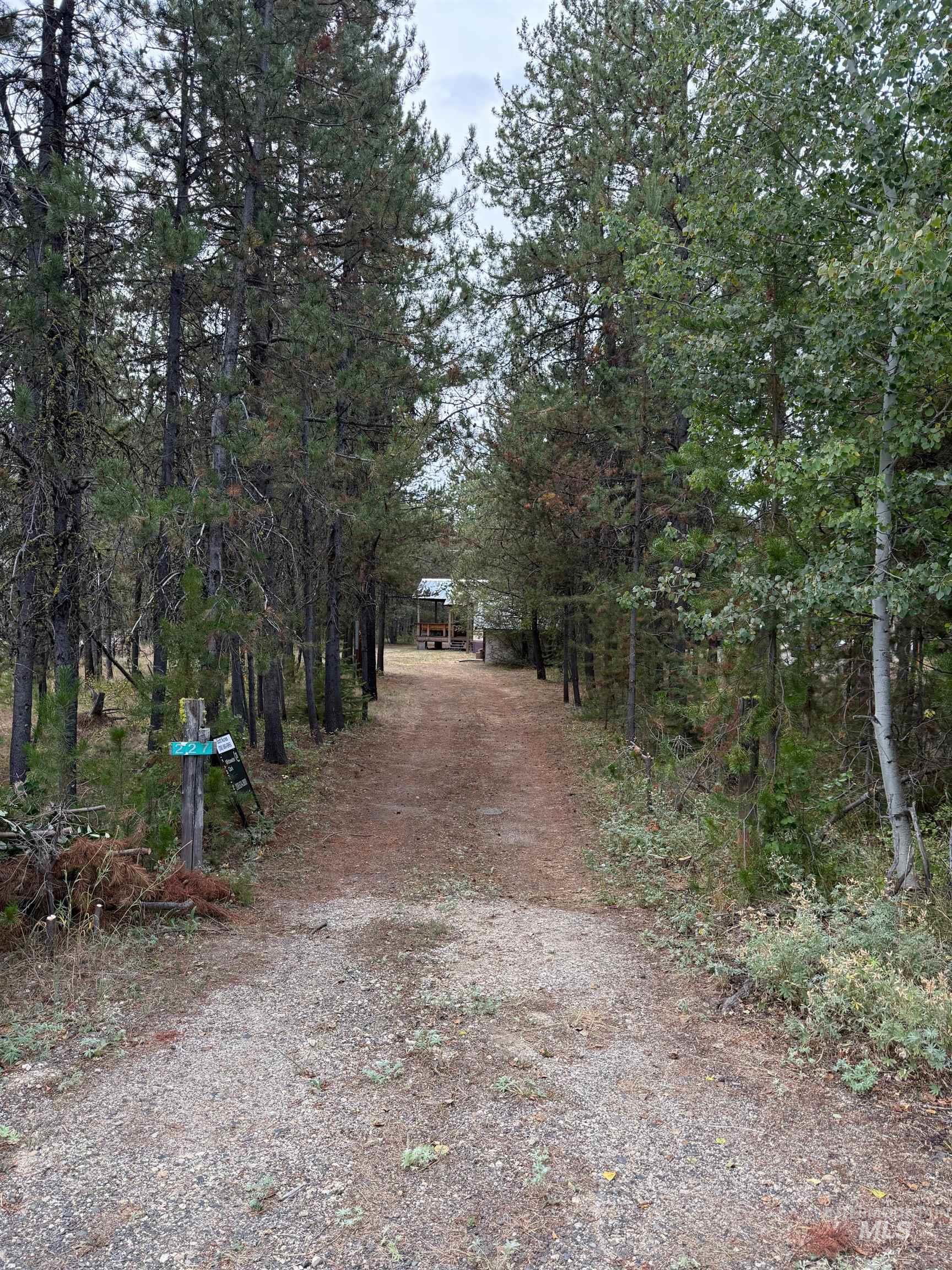 View of dirt / gravel driveway