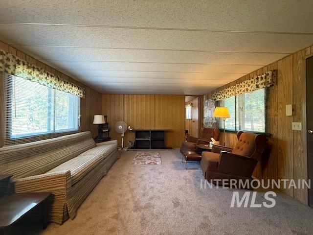 Carpeted living area with wood walls and a textured ceiling