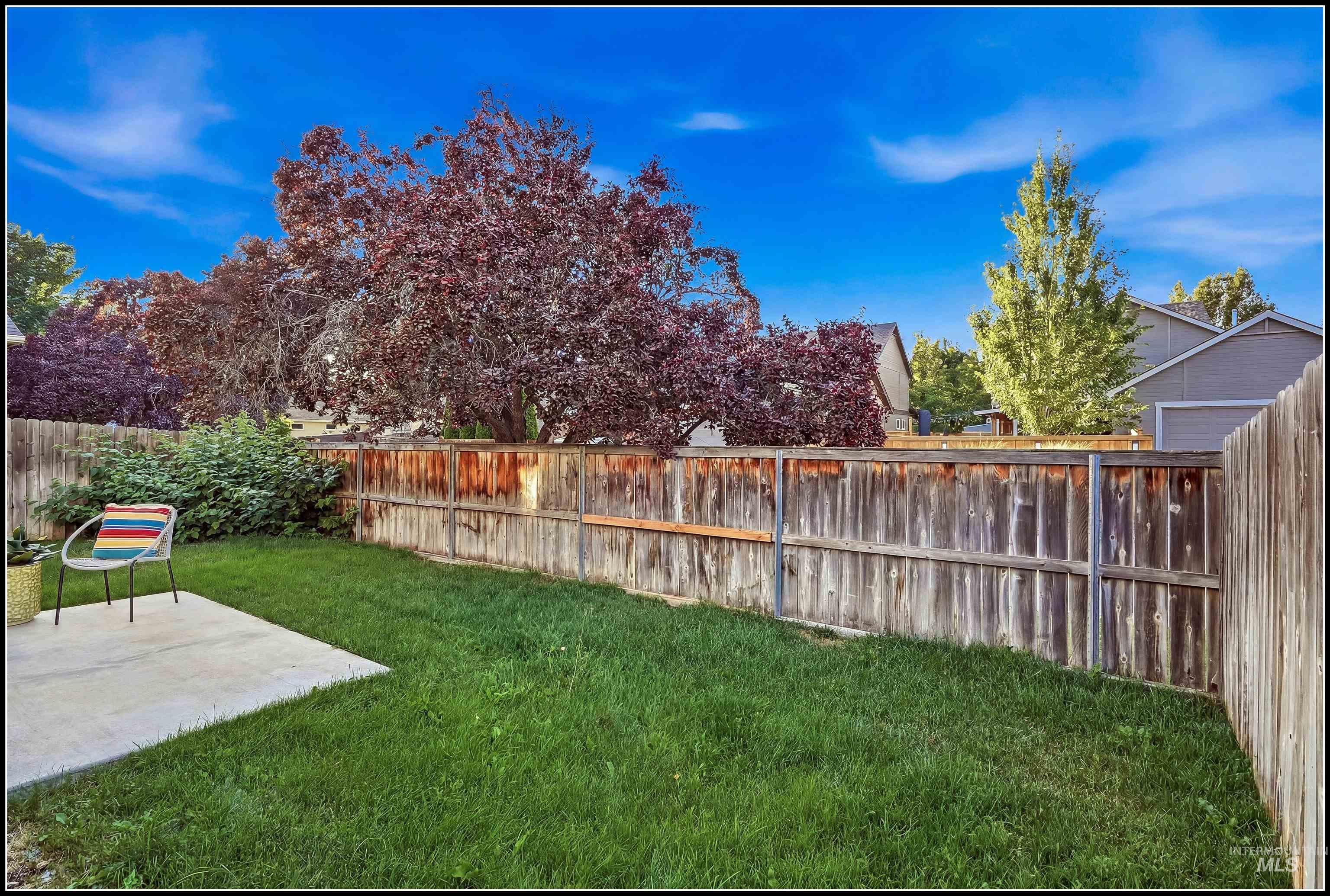 Expansive grassy backyard featuring a concrete patio, mature trees, and a privacy fence