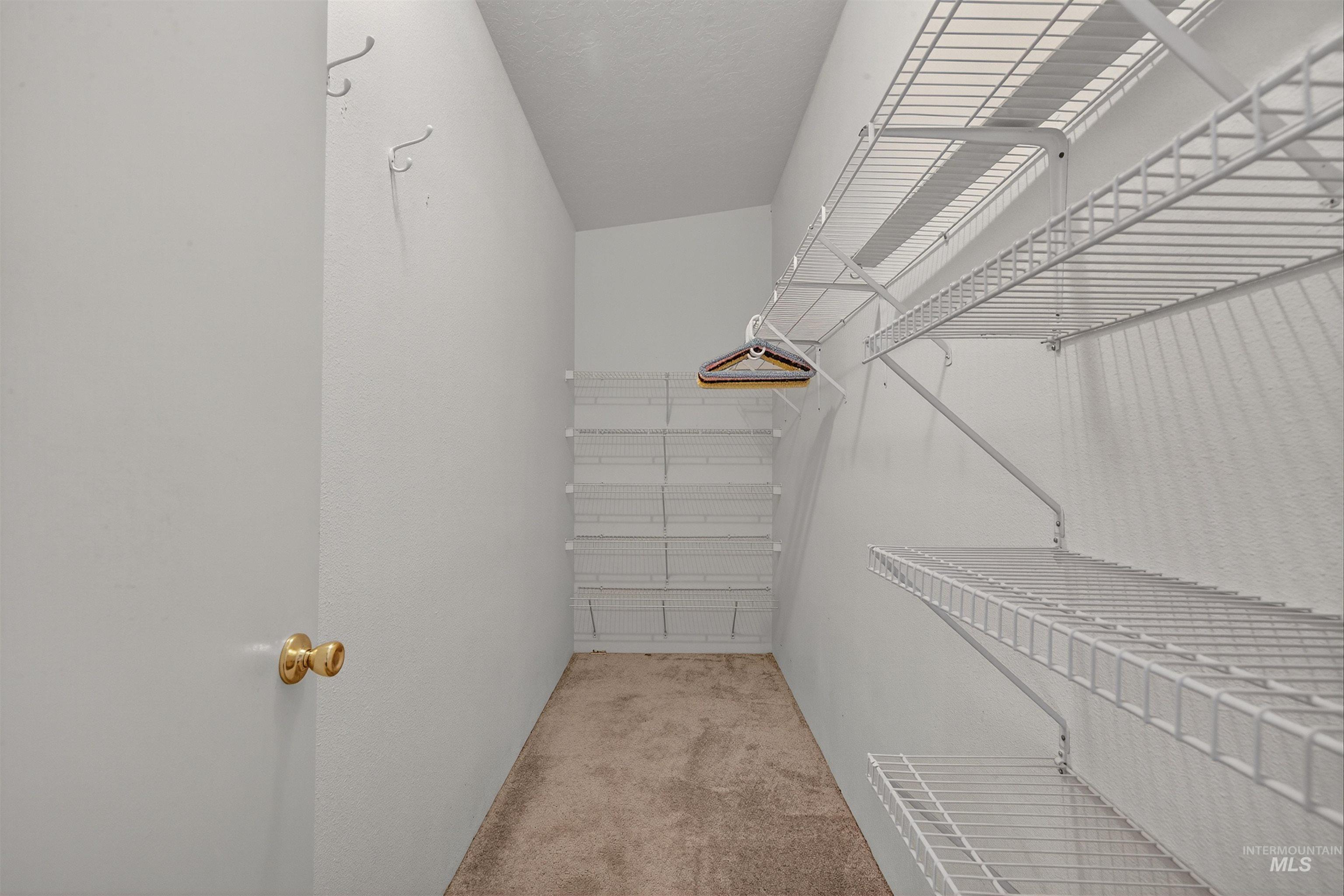 Spacious closet with light carpet