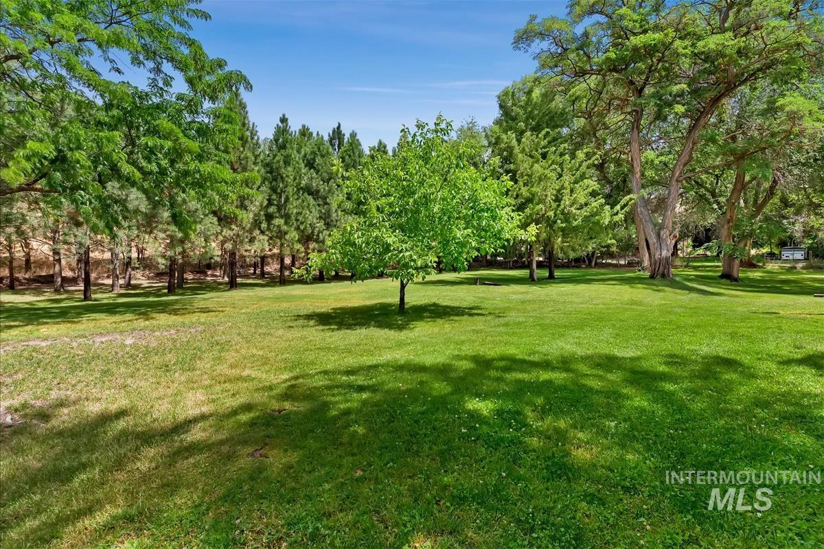 None