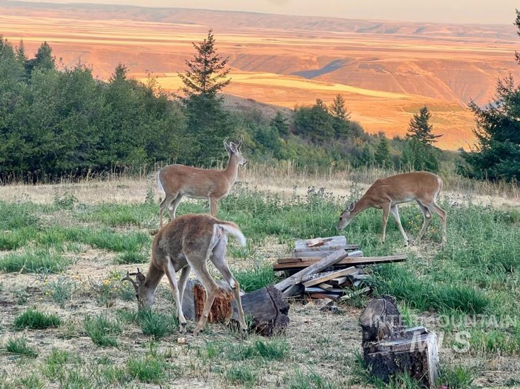 Photo of 19378 Homestead Loop, Lewiston, ID 83501 (MLS # 98973247)