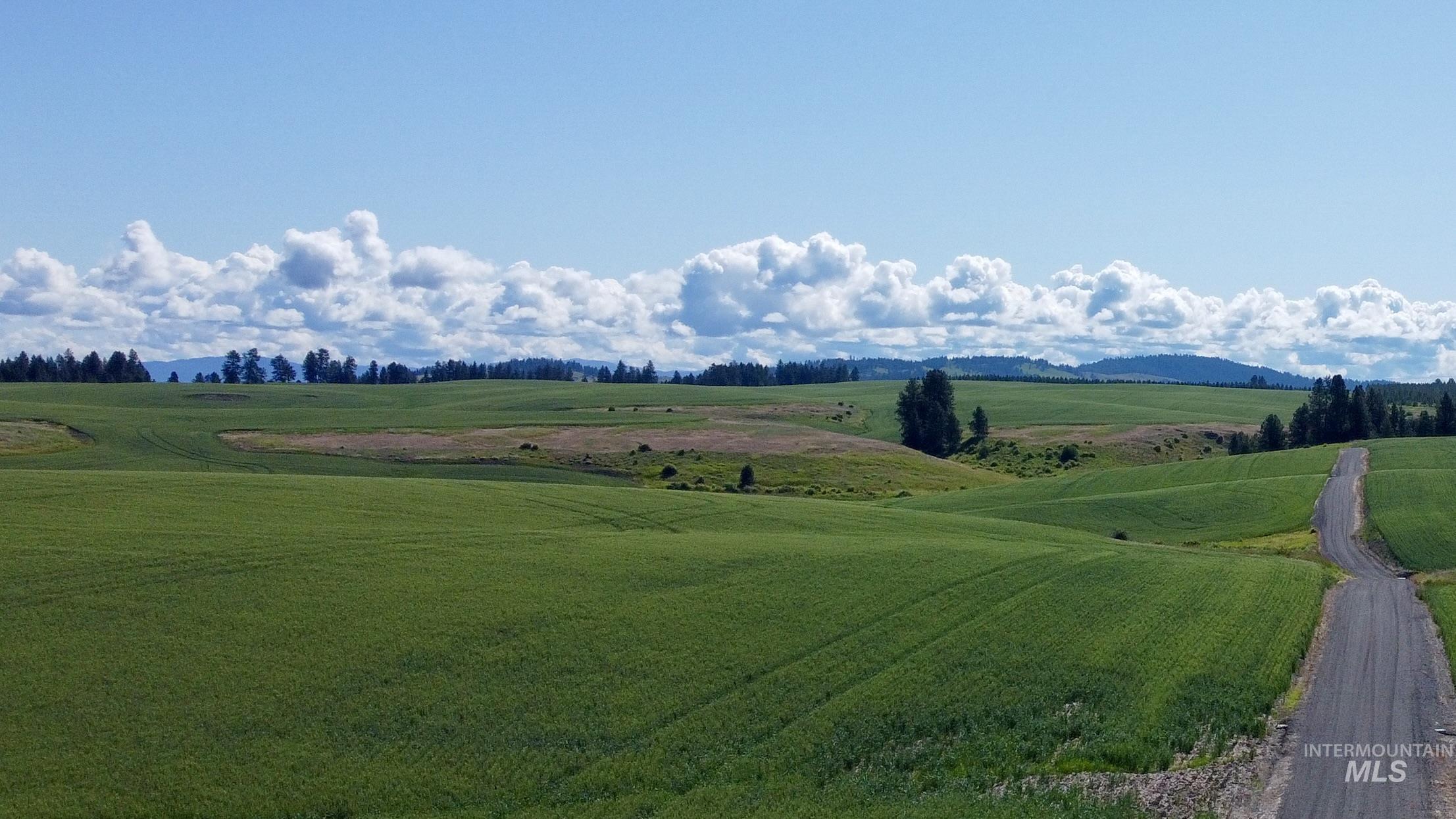 TBD Basket Rd Parcel 2